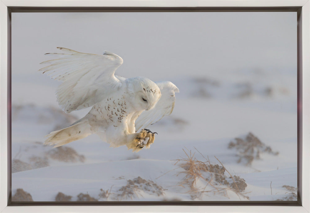 Cheng Chang Wall Art Landing-Canvas Print-DECOROLALA