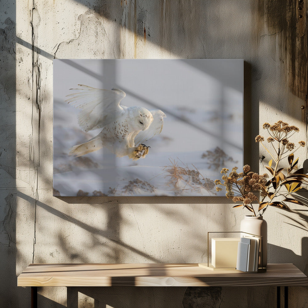 Cheng Chang Wall Art Landing-Canvas Print-DECOROLALA