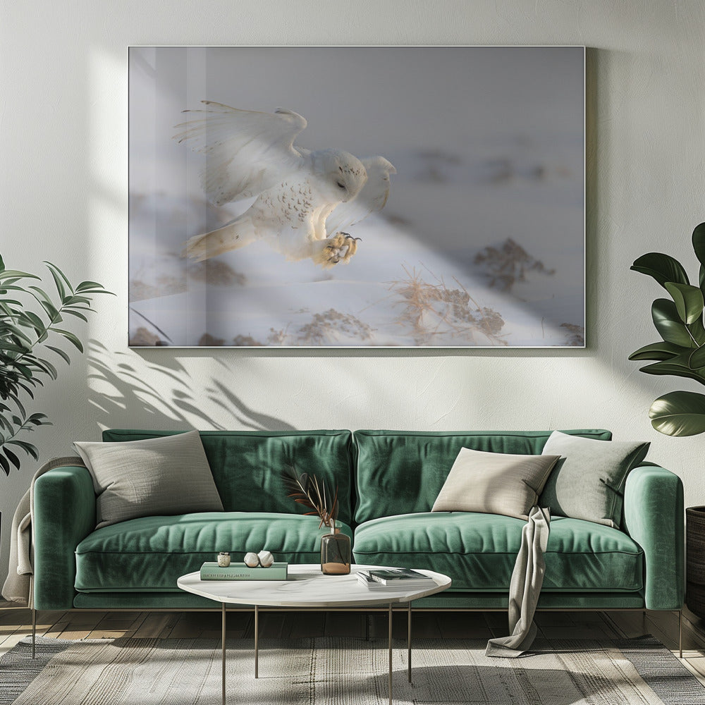 Cheng Chang Wall Art Landing-Canvas Print-DECOROLALA