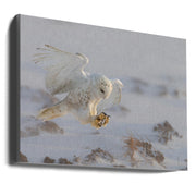 Cheng Chang Wall Art Landing-Canvas Print-DECOROLALA