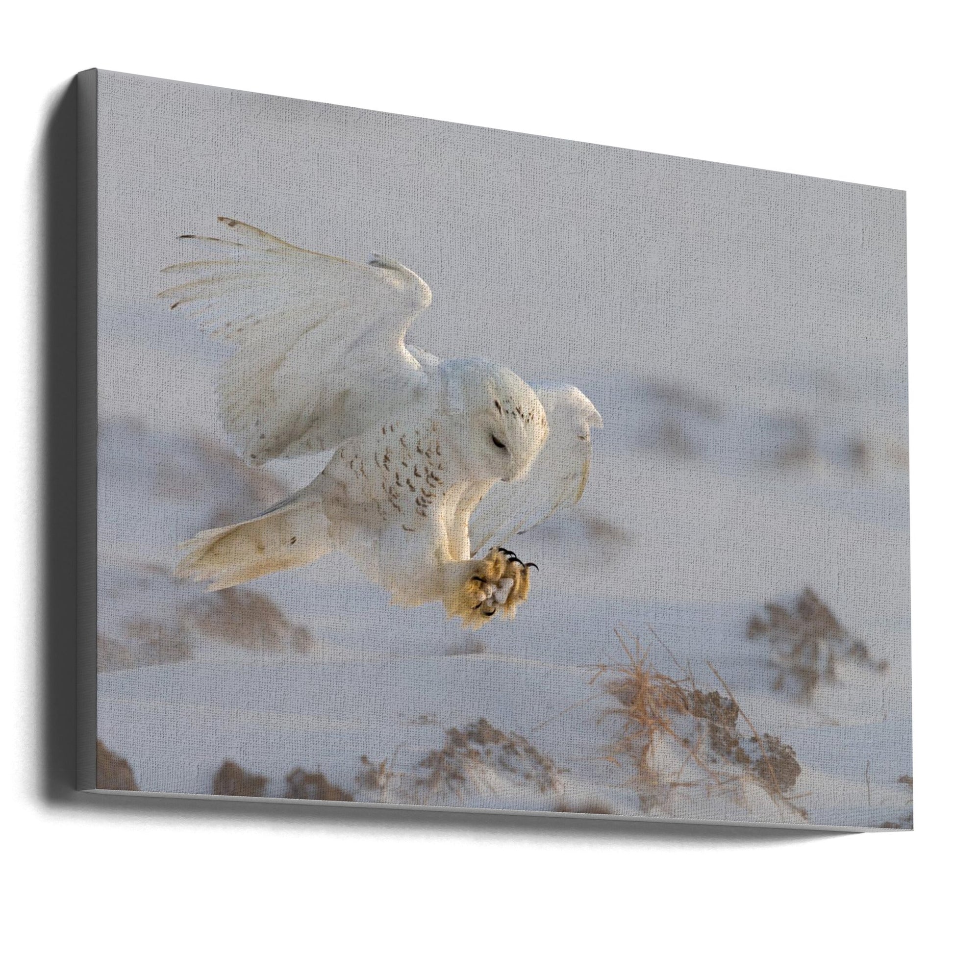 Cheng Chang Wall Art Landing-Canvas Print-DECOROLALA