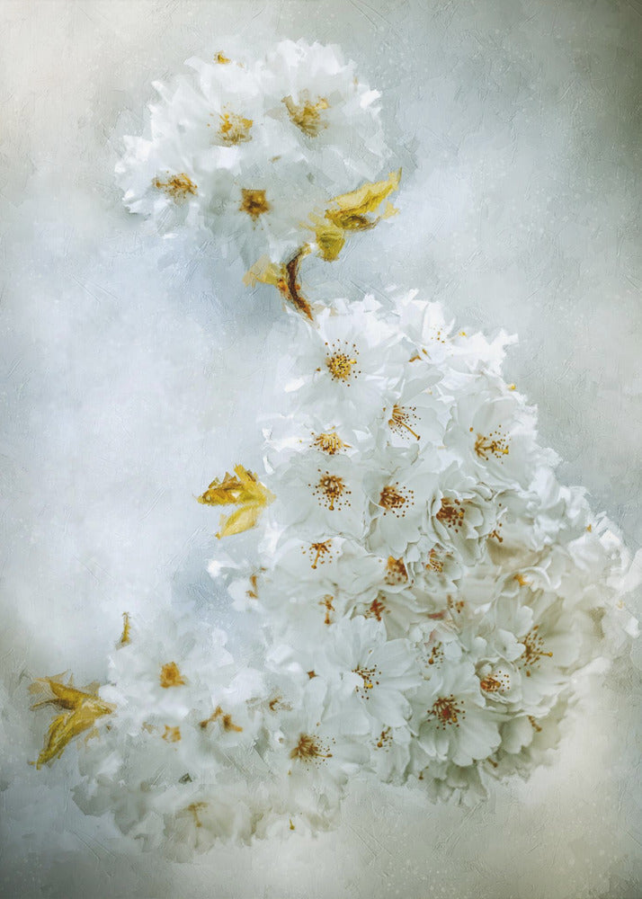 Cherry Blossoms Wall Art by Kristina Zvinakeviciute-Canvas Print-DECOROLALA