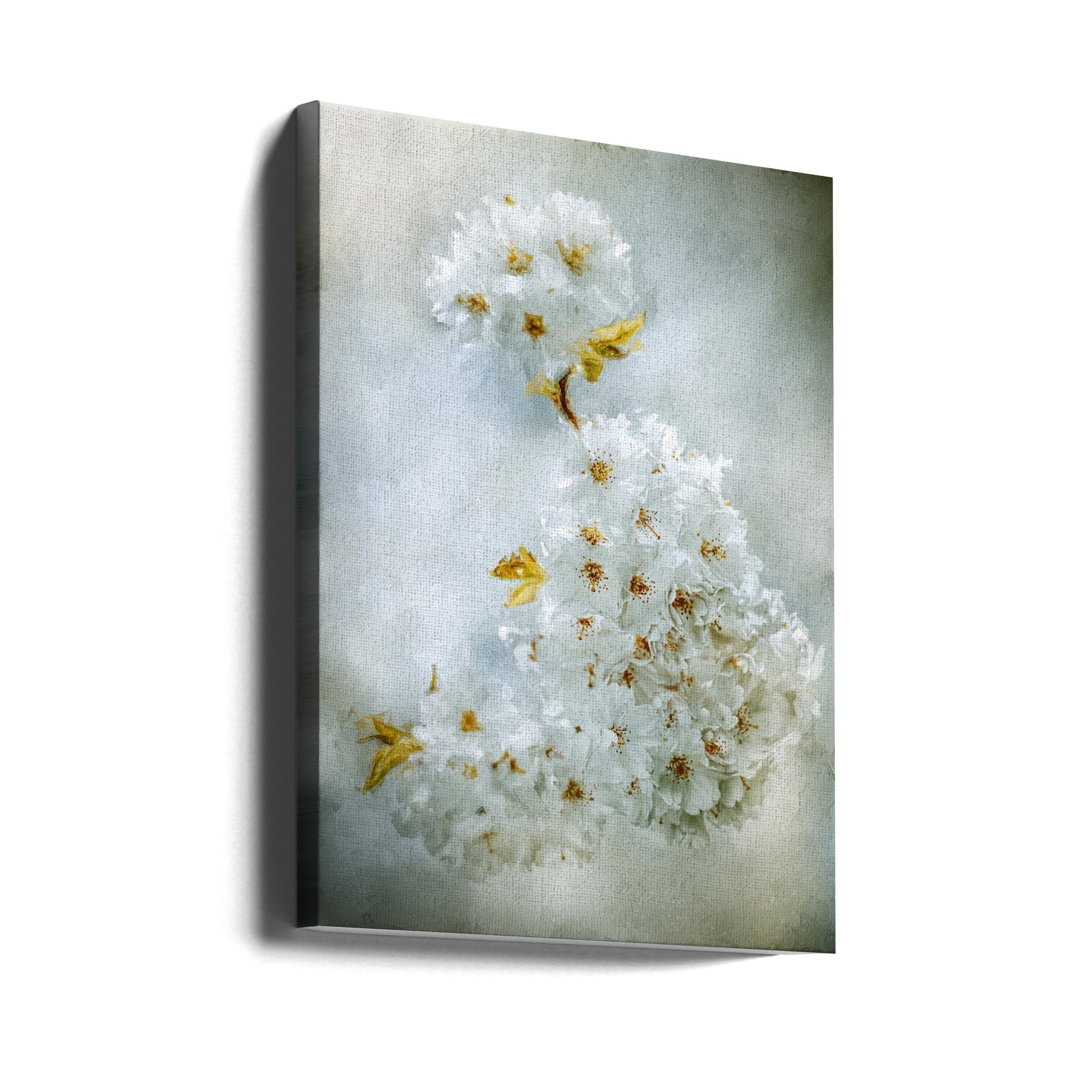 Cherry Blossoms Wall Art by Kristina Zvinakeviciute-Canvas Print-DECOROLALA