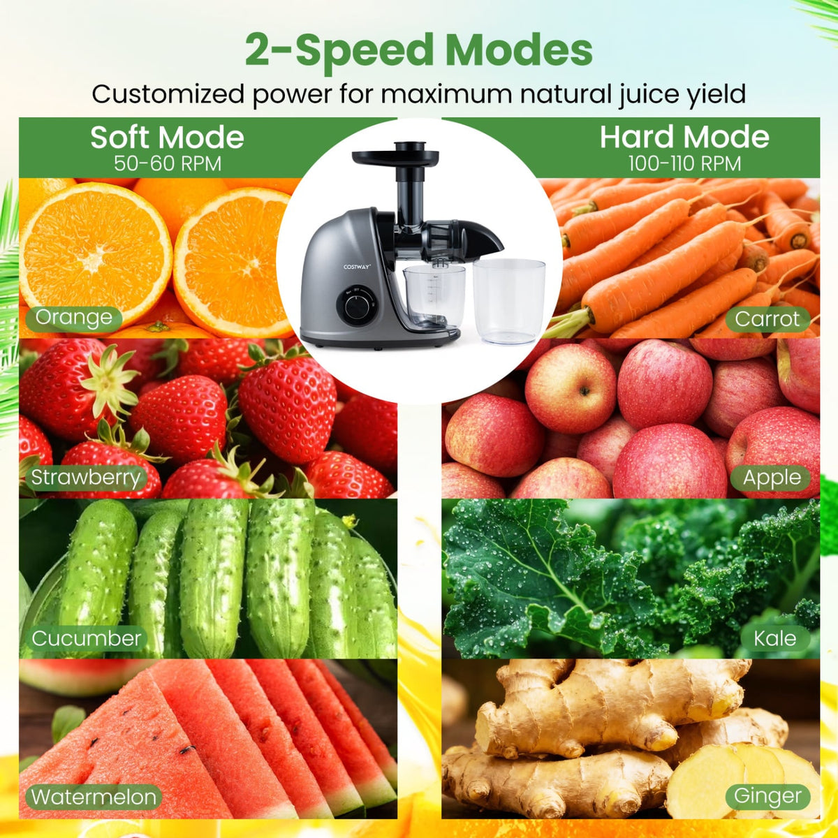 Cold Press Juicer Machine with 95% High Yield and 2-Speed Modes-Sliver-Juicers & Coffee Machines-DECOROLALA