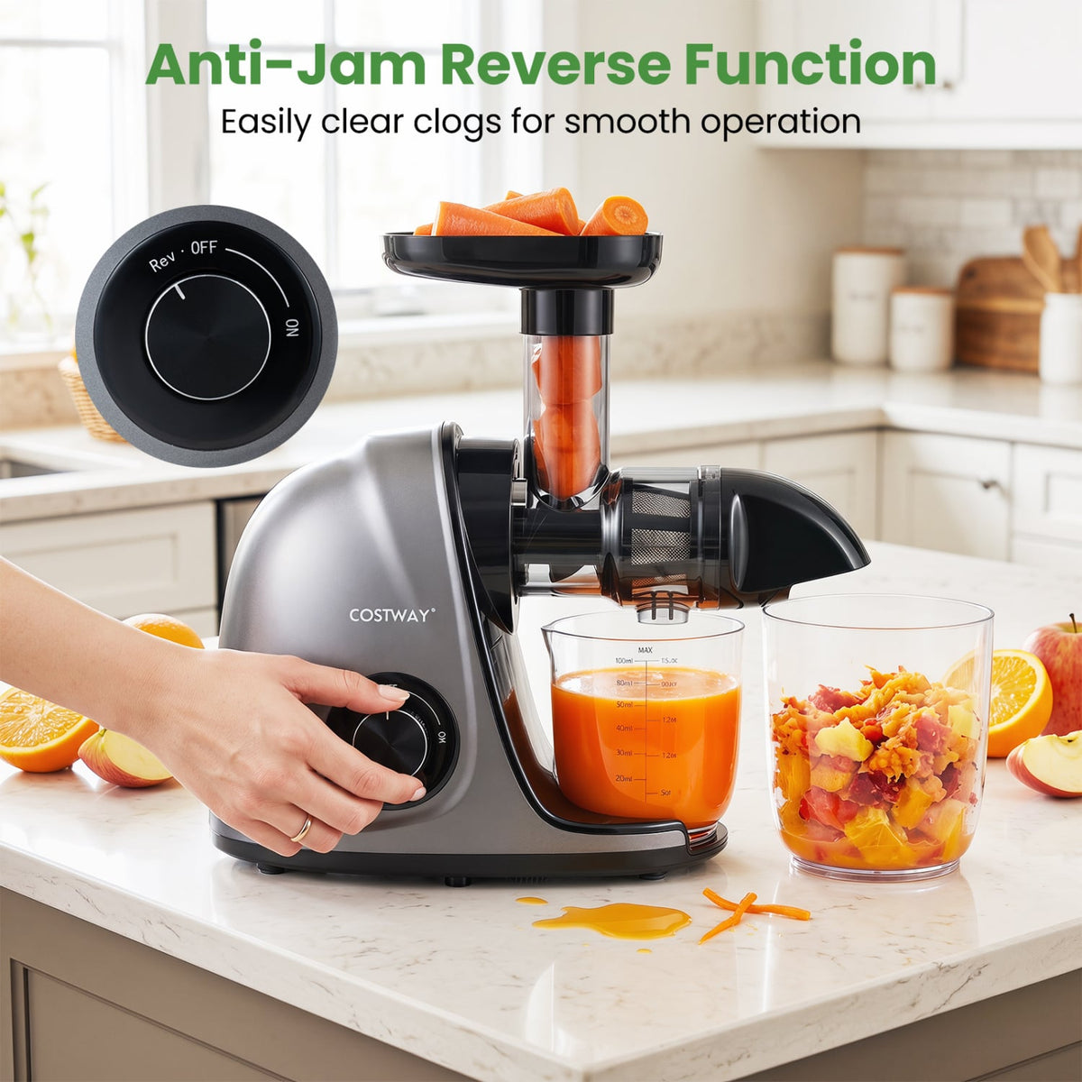 Cold Press Juicer Machine with 95% High Yield and 2-Speed Modes-Sliver-Juicers & Coffee Machines-DECOROLALA