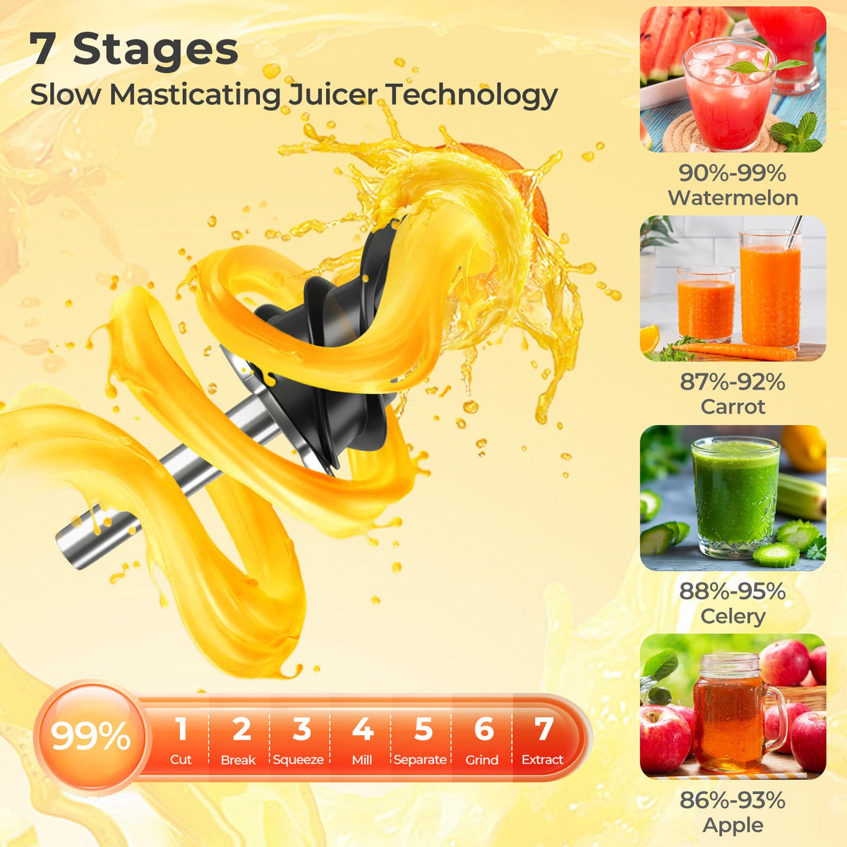 Cold Press Juicer with 5.3 Inches Feed Chute High Juice Yield and Reverse Function-Kitchen Utensils-DECOROLALA
