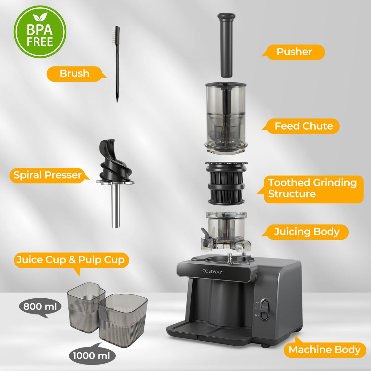 Cold Press Juicer with 5.3 Inches Feed Chute High Juice Yield and Reverse Function-Kitchen Utensils-DECOROLALA