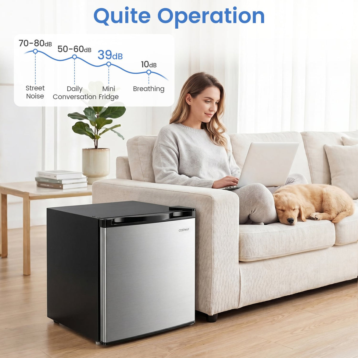Compact Mini Fridge with 7-Level Adjustable Thermostat-Silver-Refrigerators-DECOROLALA