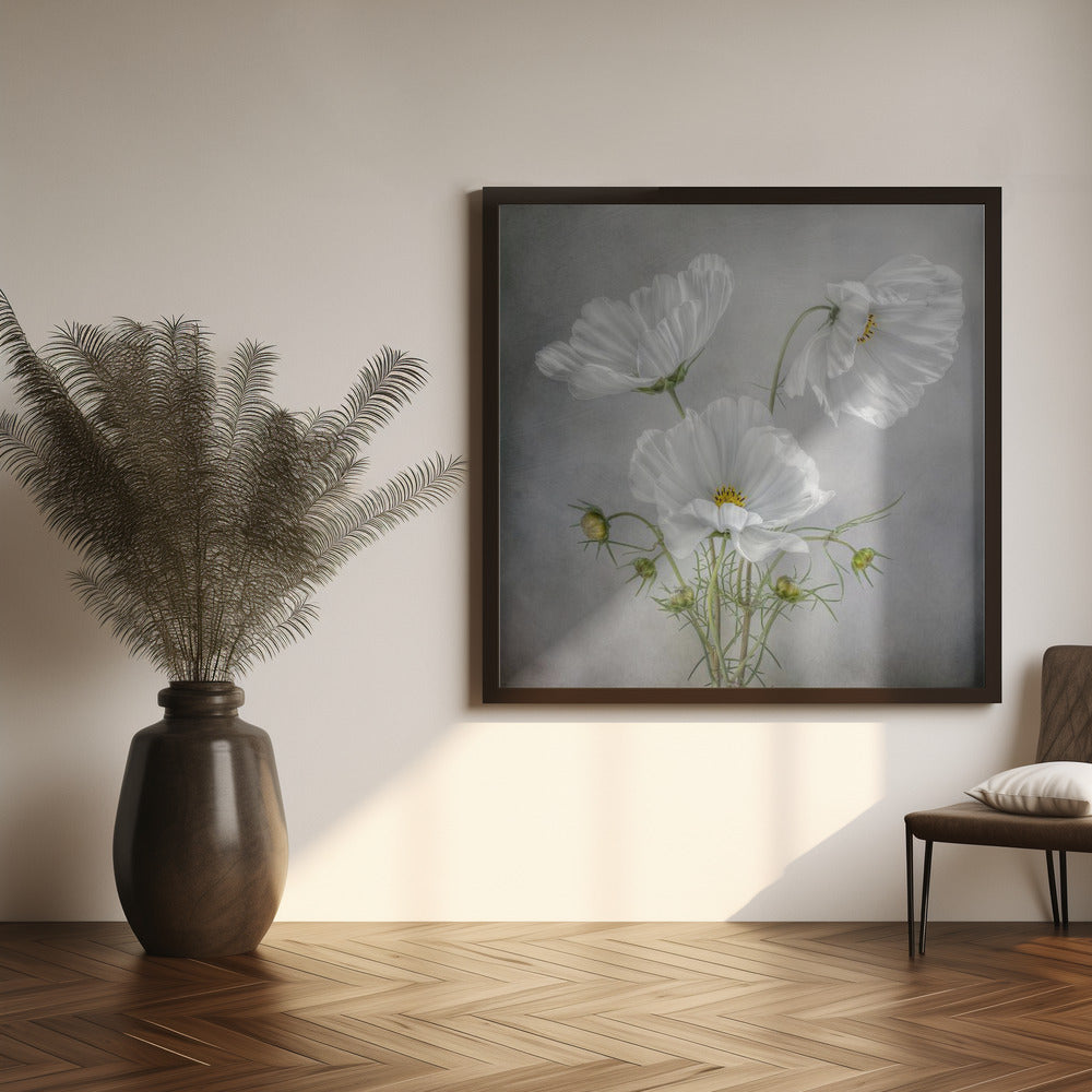 Cosmos Charm Irises-canvas-DECOROLALA