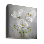 Cosmos Charm Irises-canvas-DECOROLALA