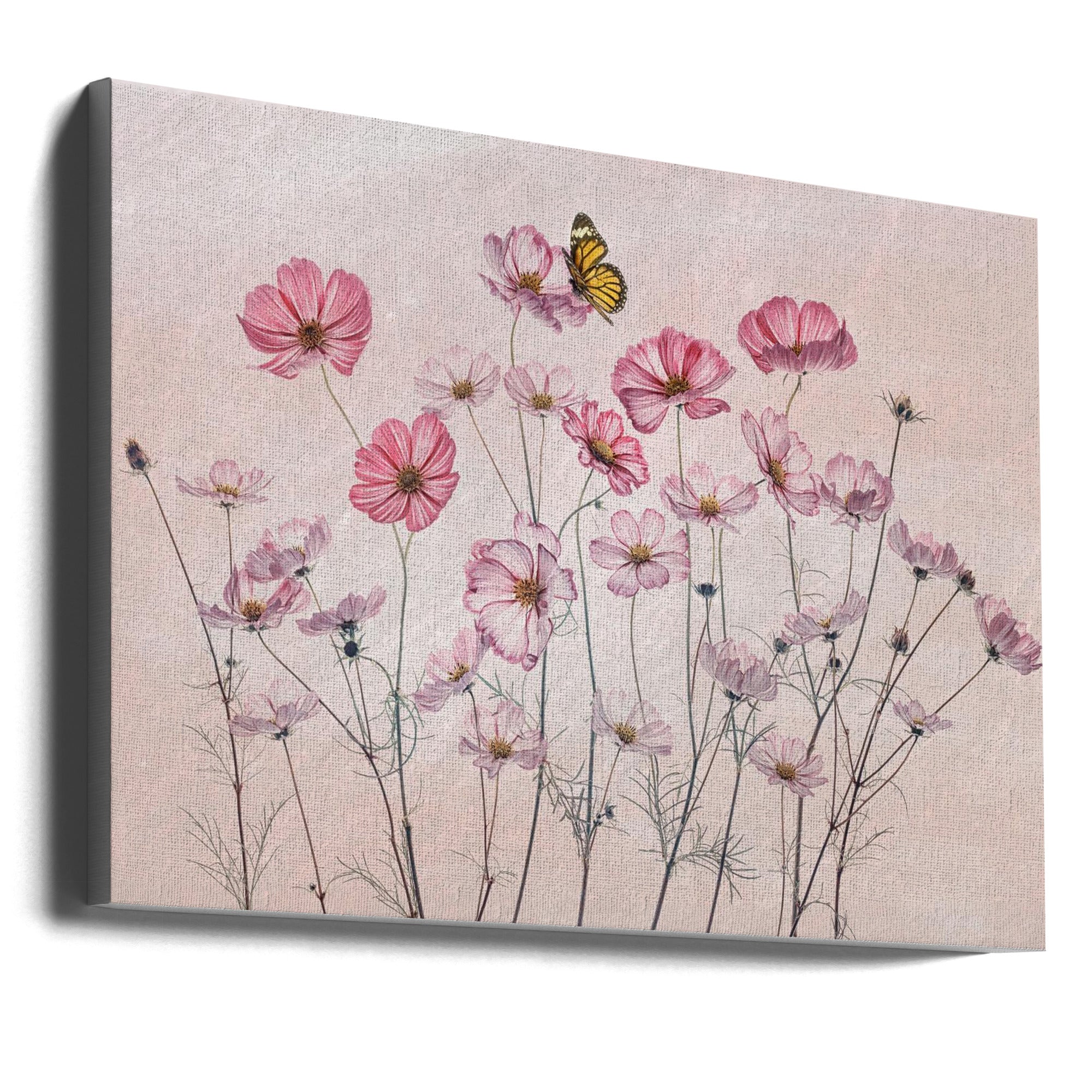 Cosmos and Butterfly-Canvas Print-DECOROLALA
