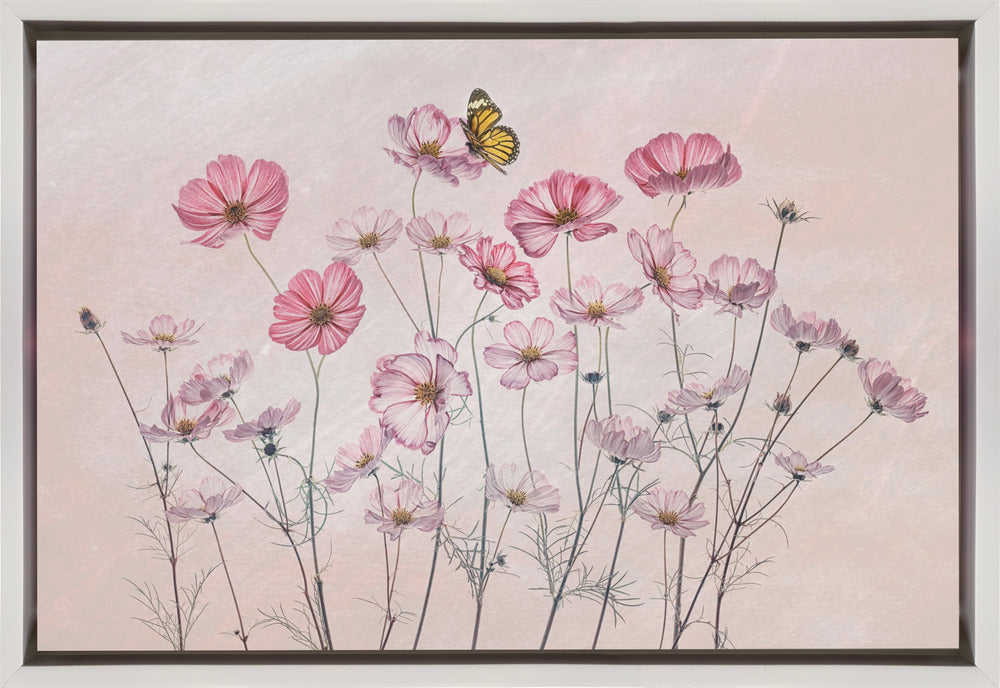 Cosmos and Butterfly by Lydia Jacobs-Canvas Print-DECOROLALA