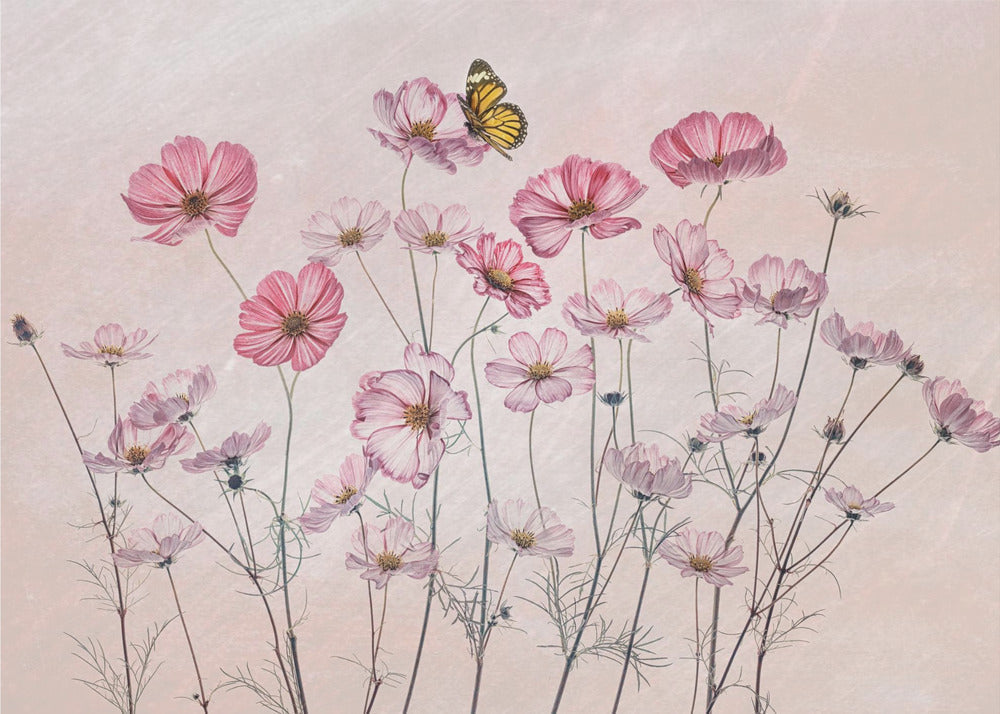 Cosmos and Butterfly by Lydia Jacobs-Canvas Print-DECOROLALA