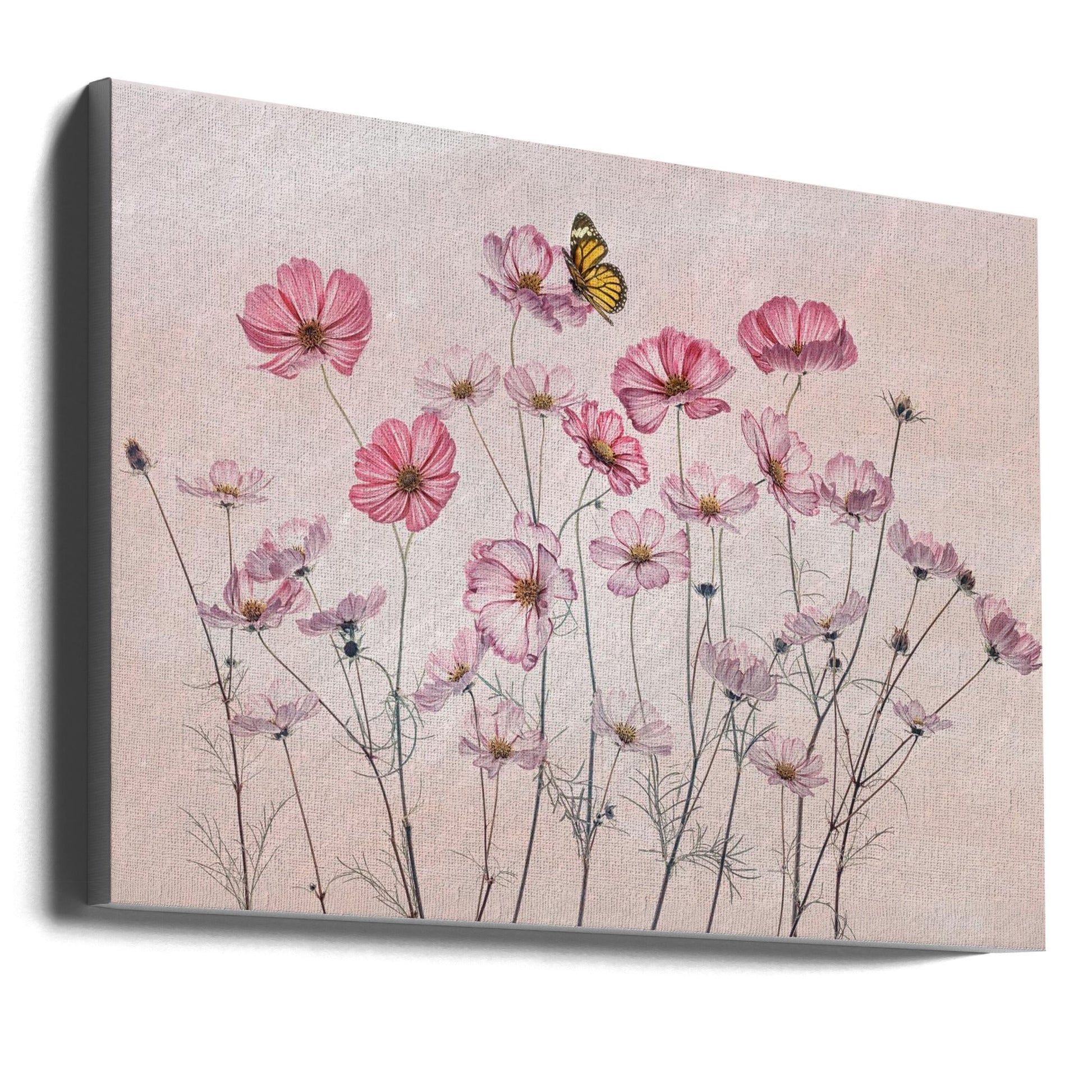 Cosmos and Butterfly by Lydia Jacobs-Canvas Print-DECOROLALA