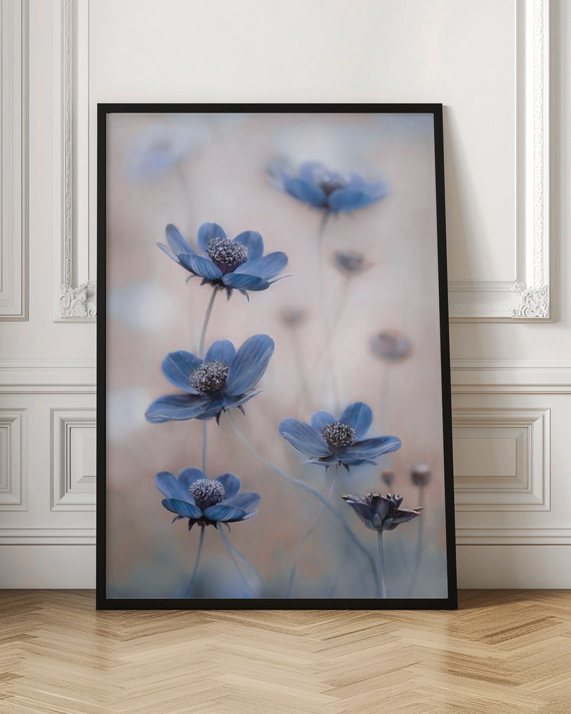 Cosmos blue-canvas-DECOROLALA