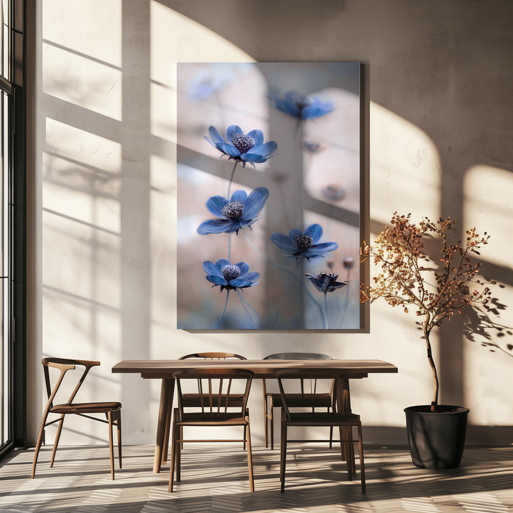 Cosmos blue-canvas-DECOROLALA