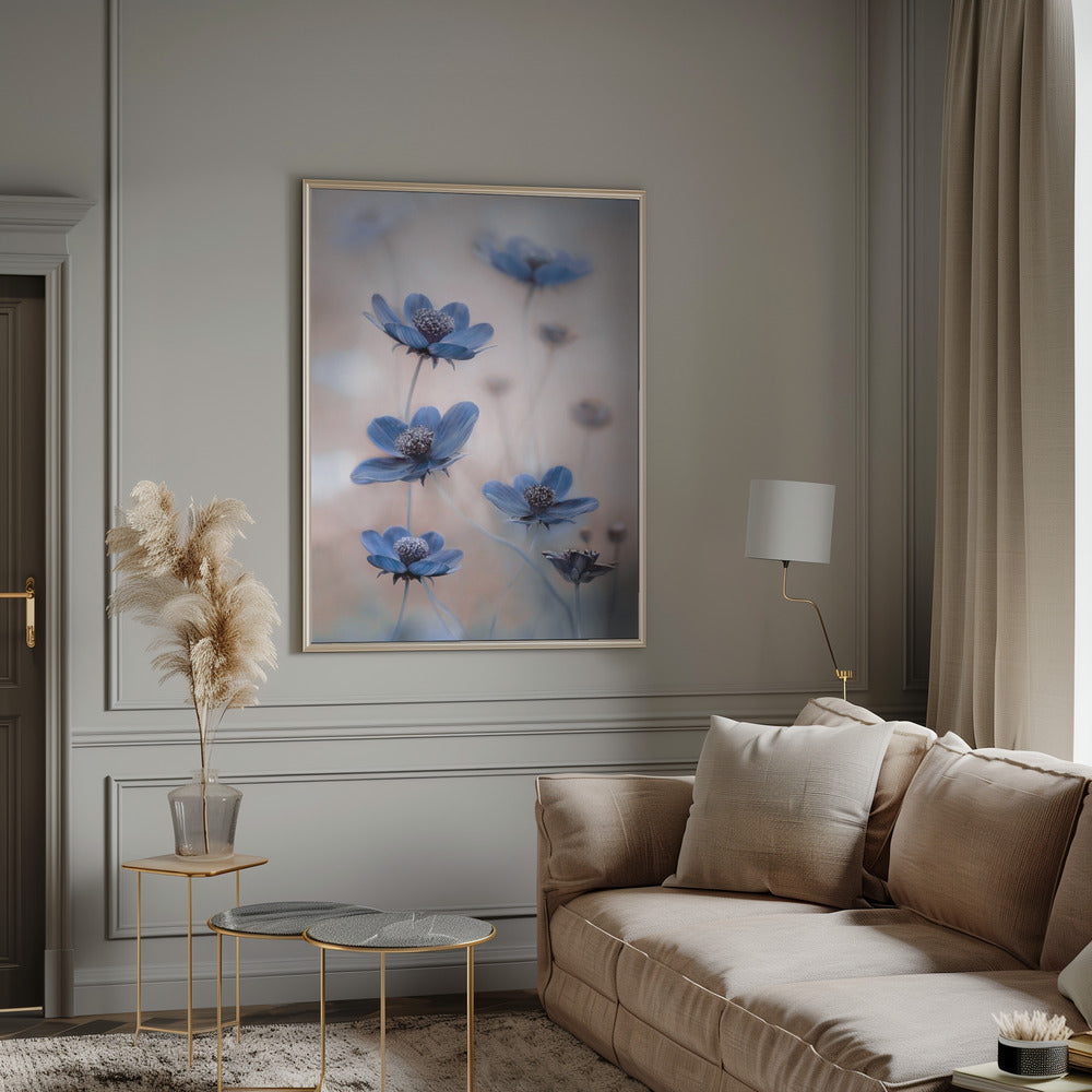 Cosmos blue-canvas-DECOROLALA