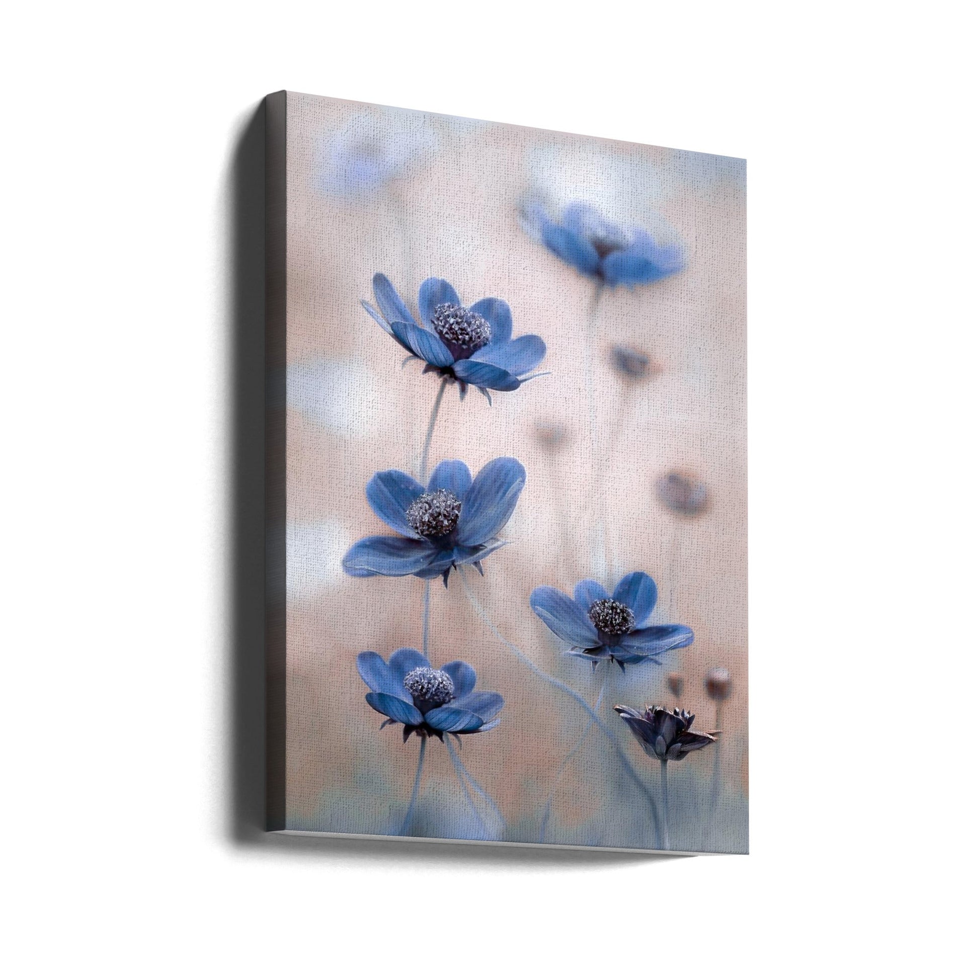 Cosmos blue-canvas-DECOROLALA