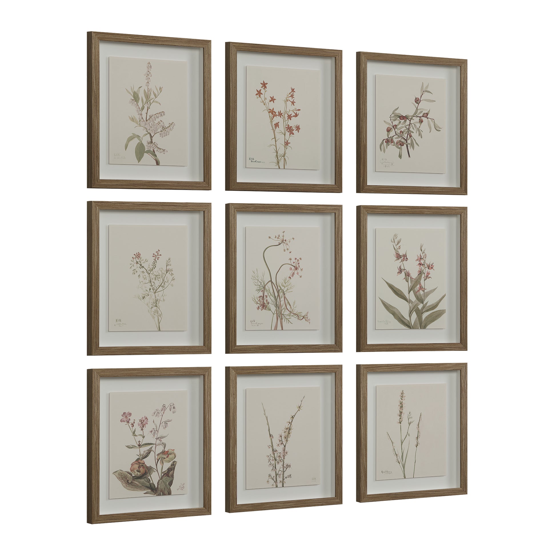 Crema 13.25" Wide Wall Decor, Printed Artwork-Wall Art-DECOROLALA