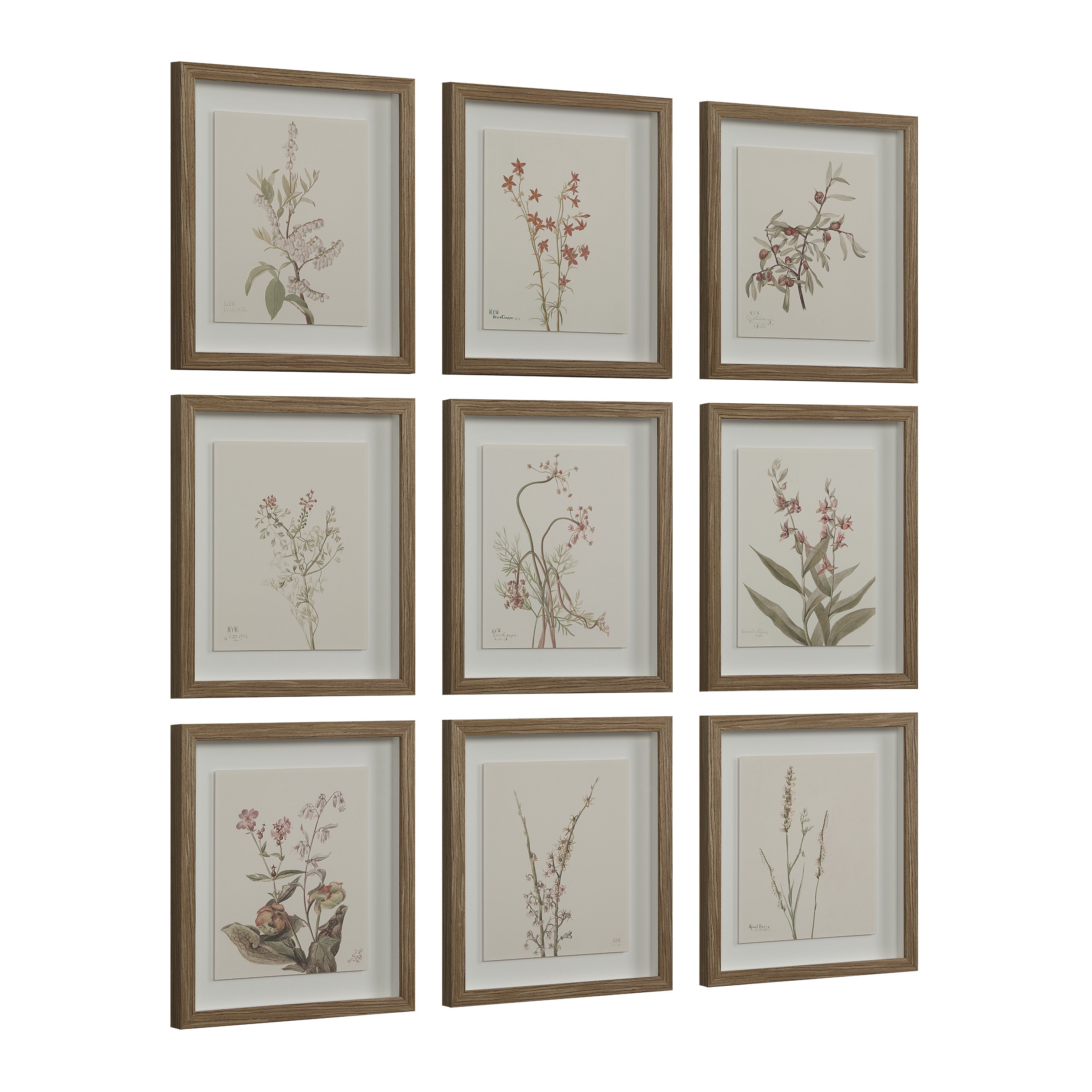 Crema 13.25" Wide Wall Decor, Printed Artwork-Wall Art-DECOROLALA