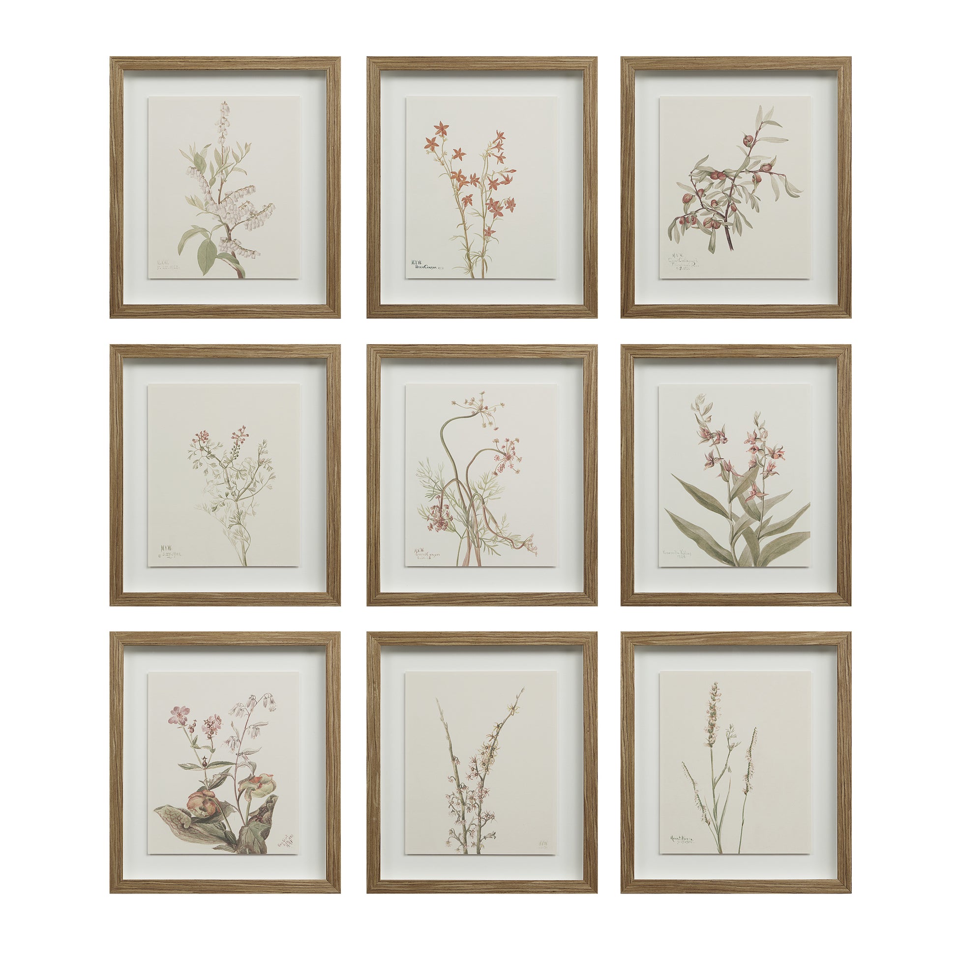 Crema 13.25" Wide Wall Decor, Printed Artwork-Wall Art-DECOROLALA