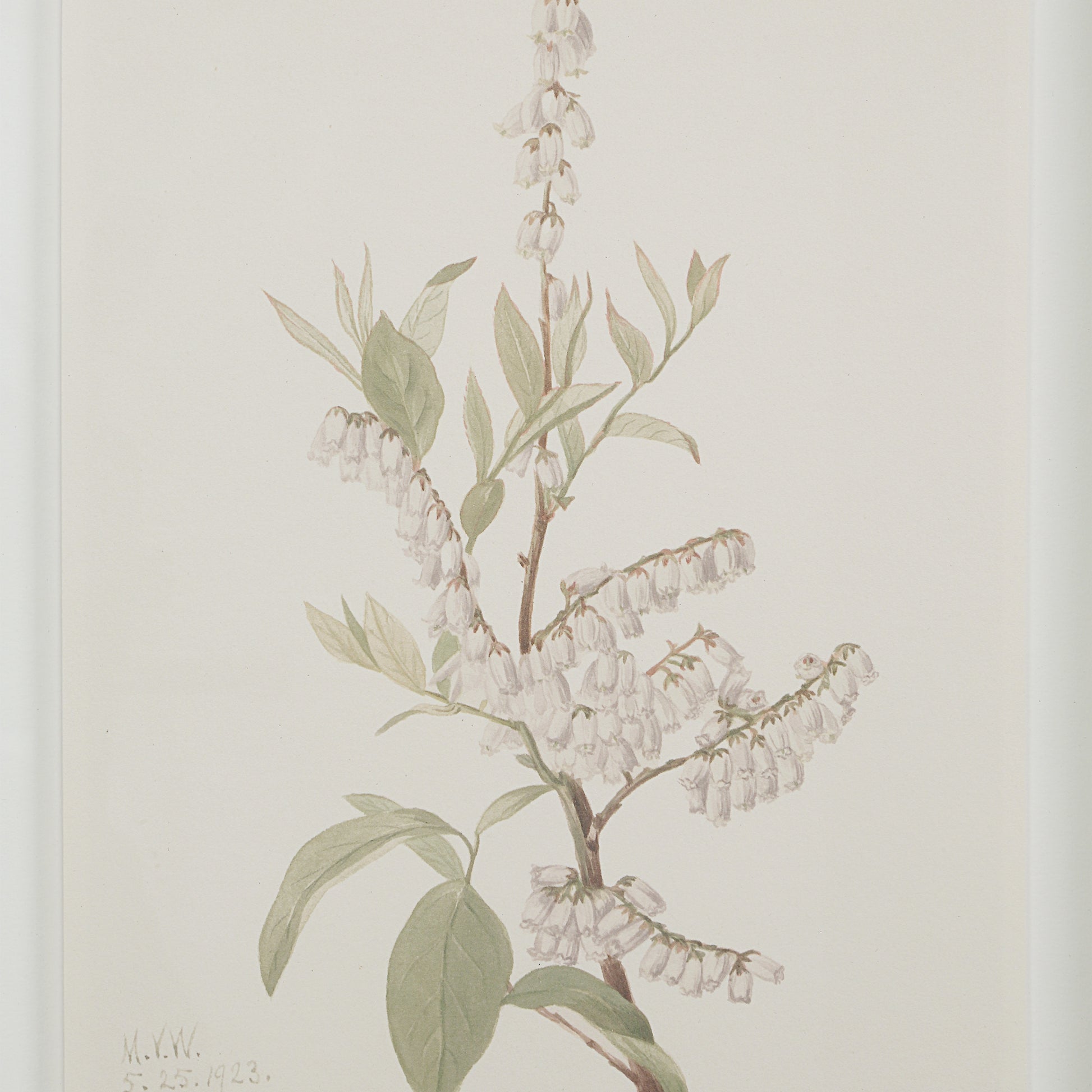 Crema 13.25" Wide Wall Decor, Printed Artwork-Wall Art-DECOROLALA