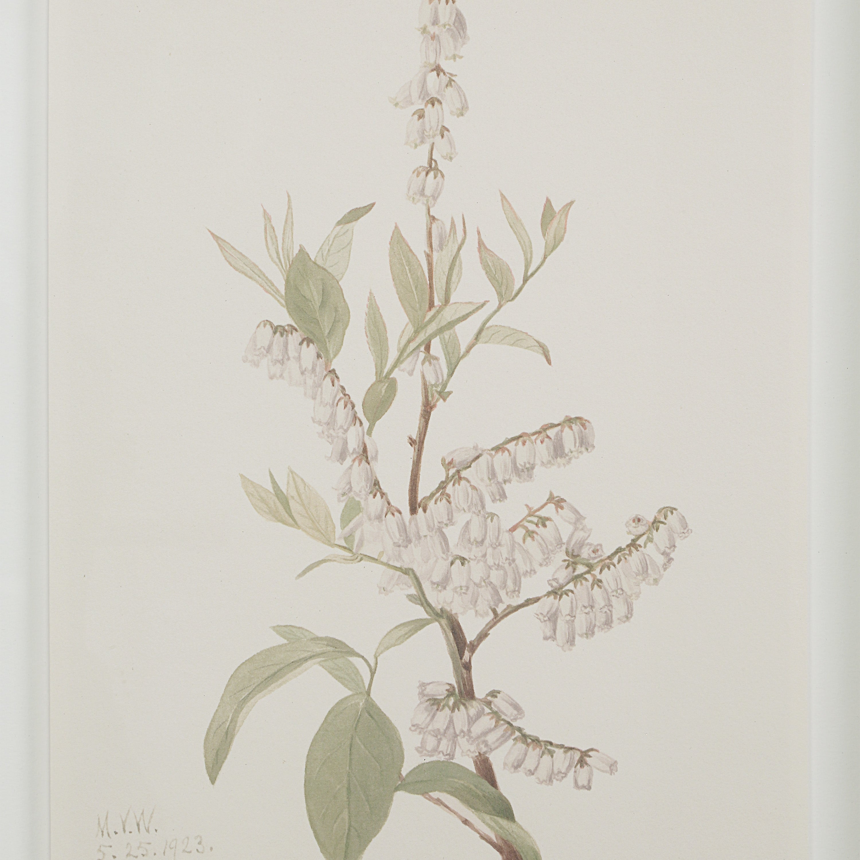 Crema 13.25" Wide Wall Decor, Printed Artwork-Wall Art-DECOROLALA