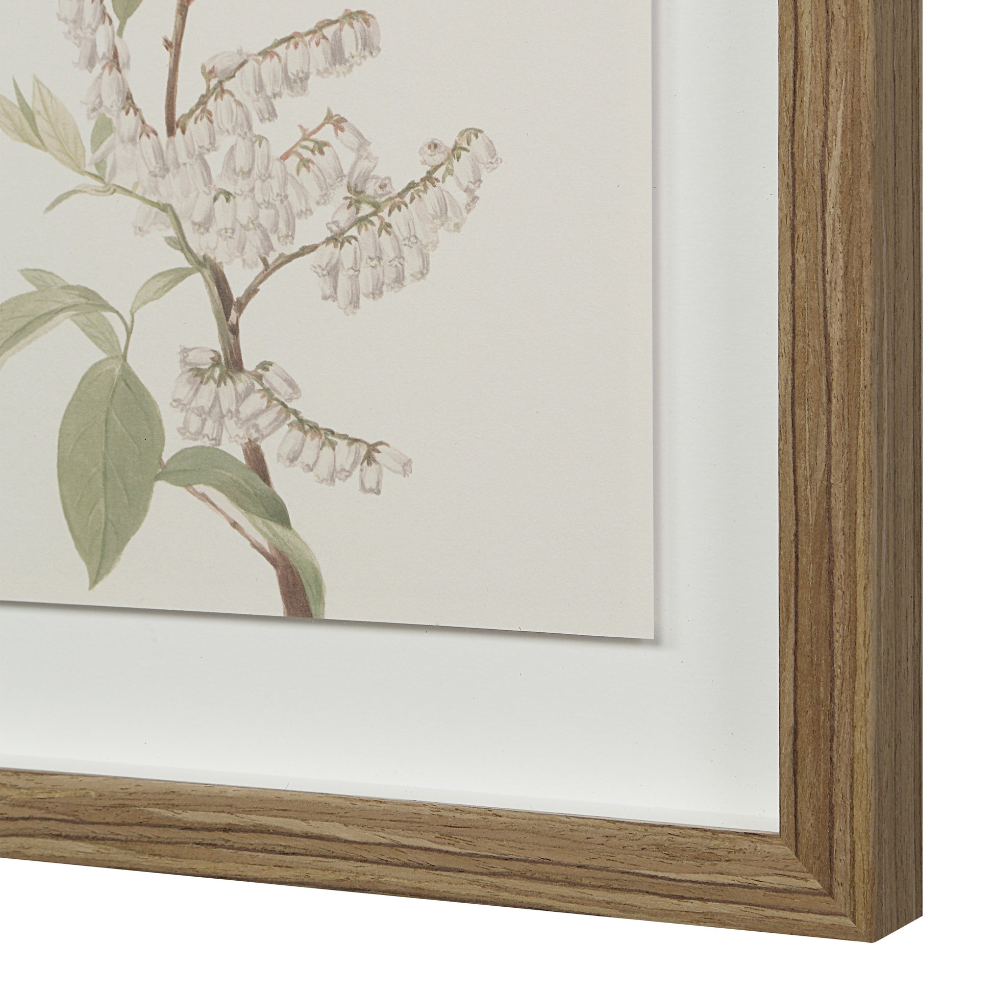 Crema 13.25" Wide Wall Decor, Printed Artwork-Wall Art-DECOROLALA