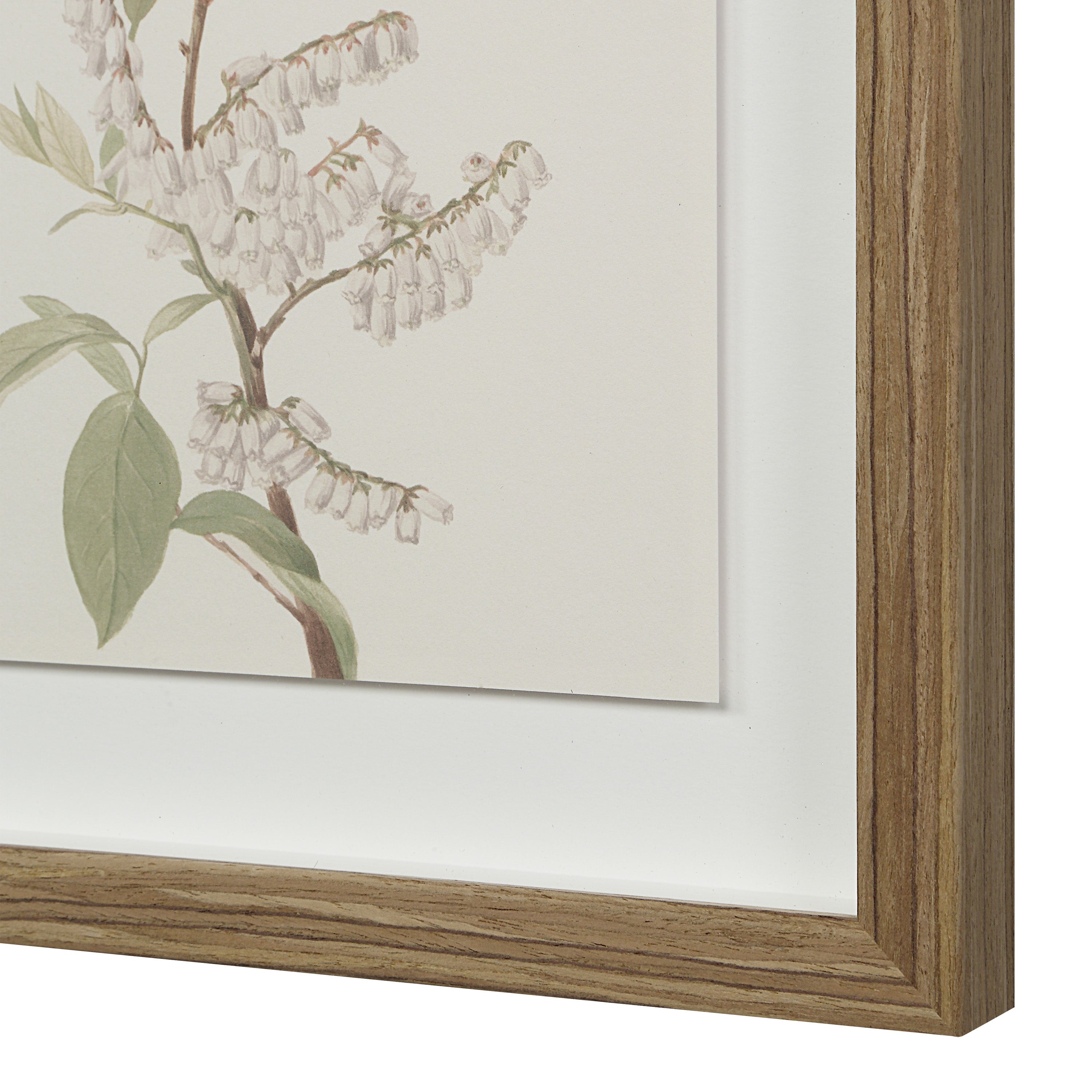 Crema 13.25" Wide Wall Decor, Printed Artwork-Wall Art-DECOROLALA