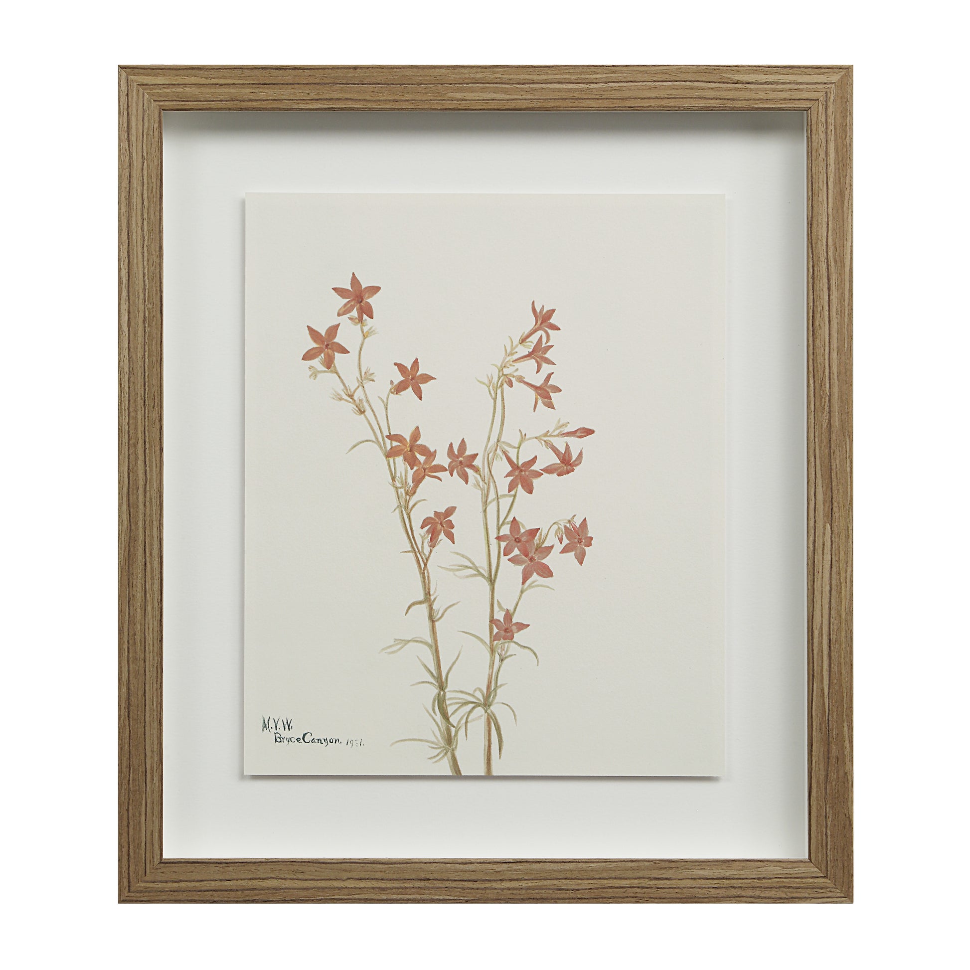 Crema 13.25" Wide Wall Decor, Printed Artwork-Wall Art-DECOROLALA