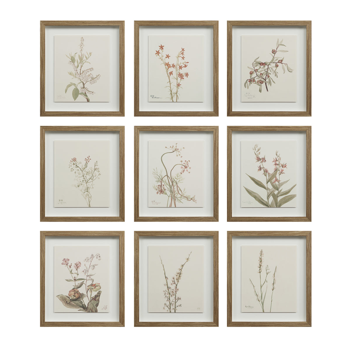 Crema 13.25" Wide Wall Decor, Printed Artwork-Wall Art Prints-DECOROLALA