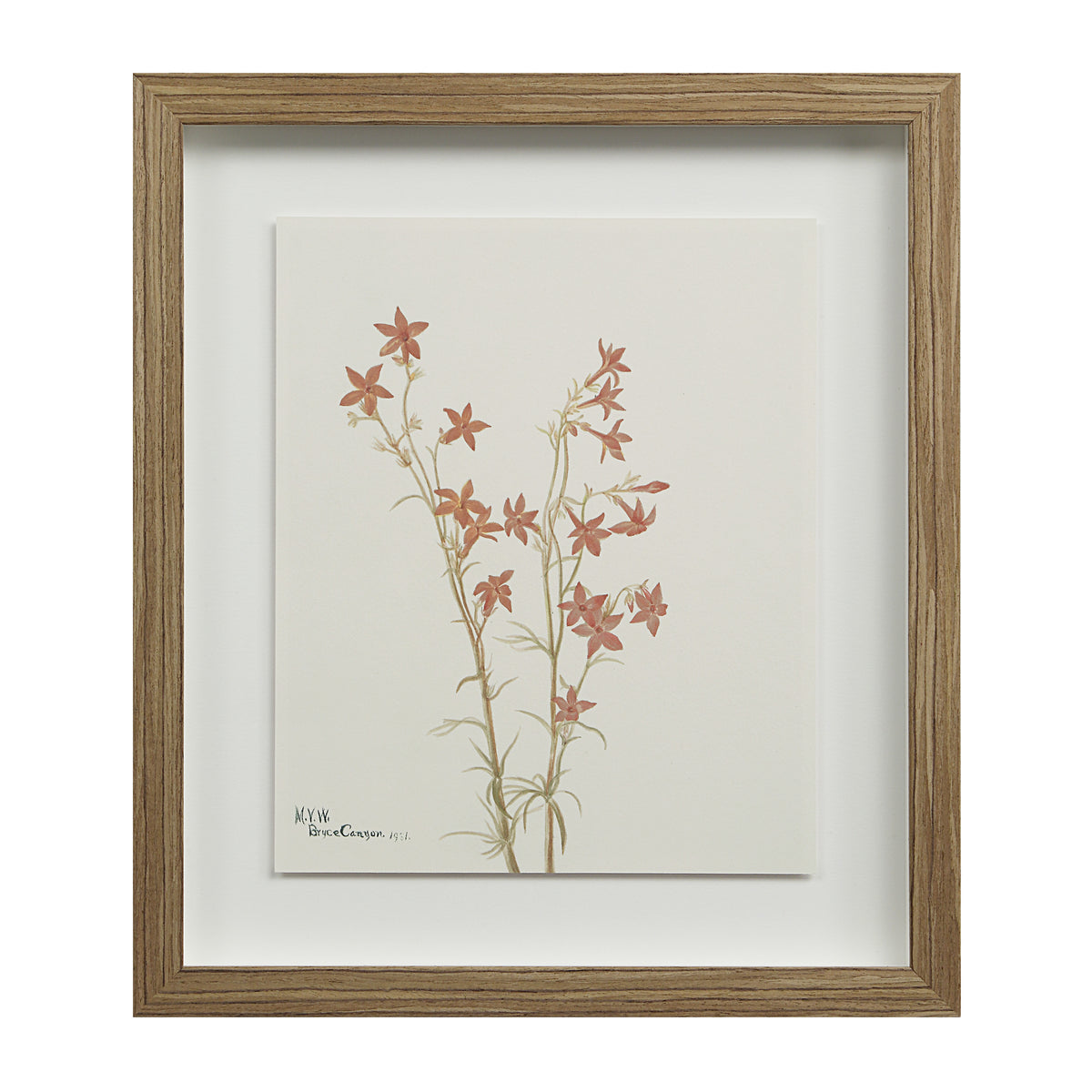 Crema 13.25" Wide Wall Decor, Printed Artwork-Wall Art Prints-DECOROLALA