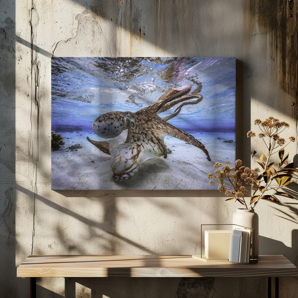 Dancing Octopus-Canvas Print-DECOROLALA