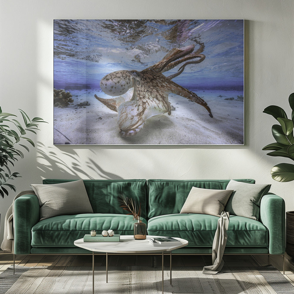Dancing Octopus-Canvas Print-DECOROLALA