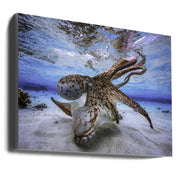 Dancing Octopus-Canvas Print-DECOROLALA