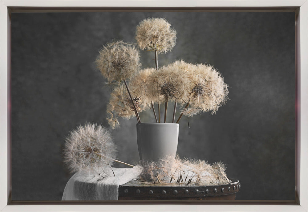 Dandelion Seed Pod Wall Art by Lydia Jacobs-Canvas Print-DECOROLALA