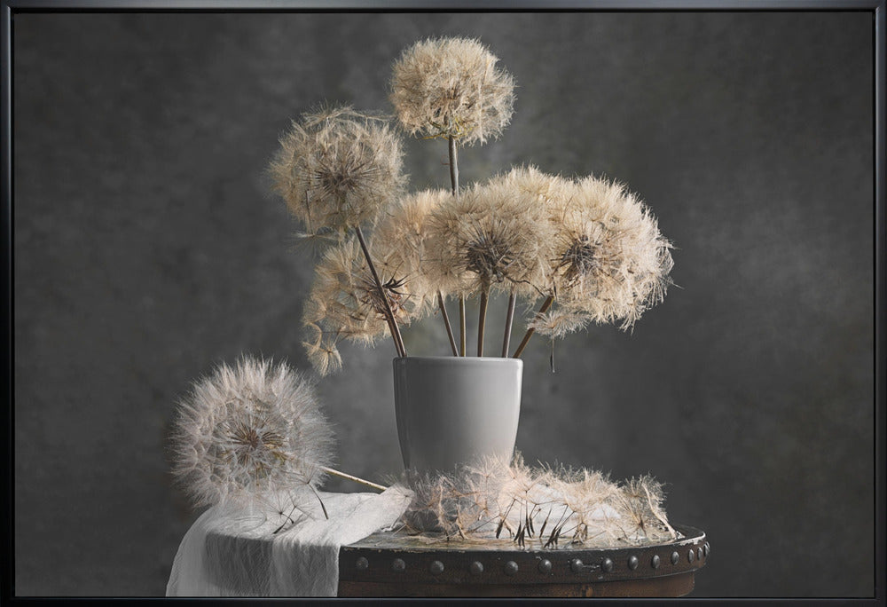 Dandelion Seed Pod Wall Art by Lydia Jacobs-Canvas Print-DECOROLALA