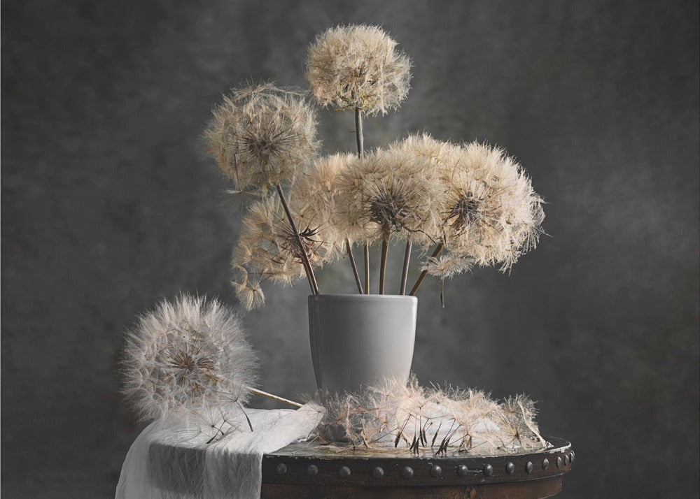 Dandelion Seed Pod Wall Art by Lydia Jacobs-Canvas Print-DECOROLALA