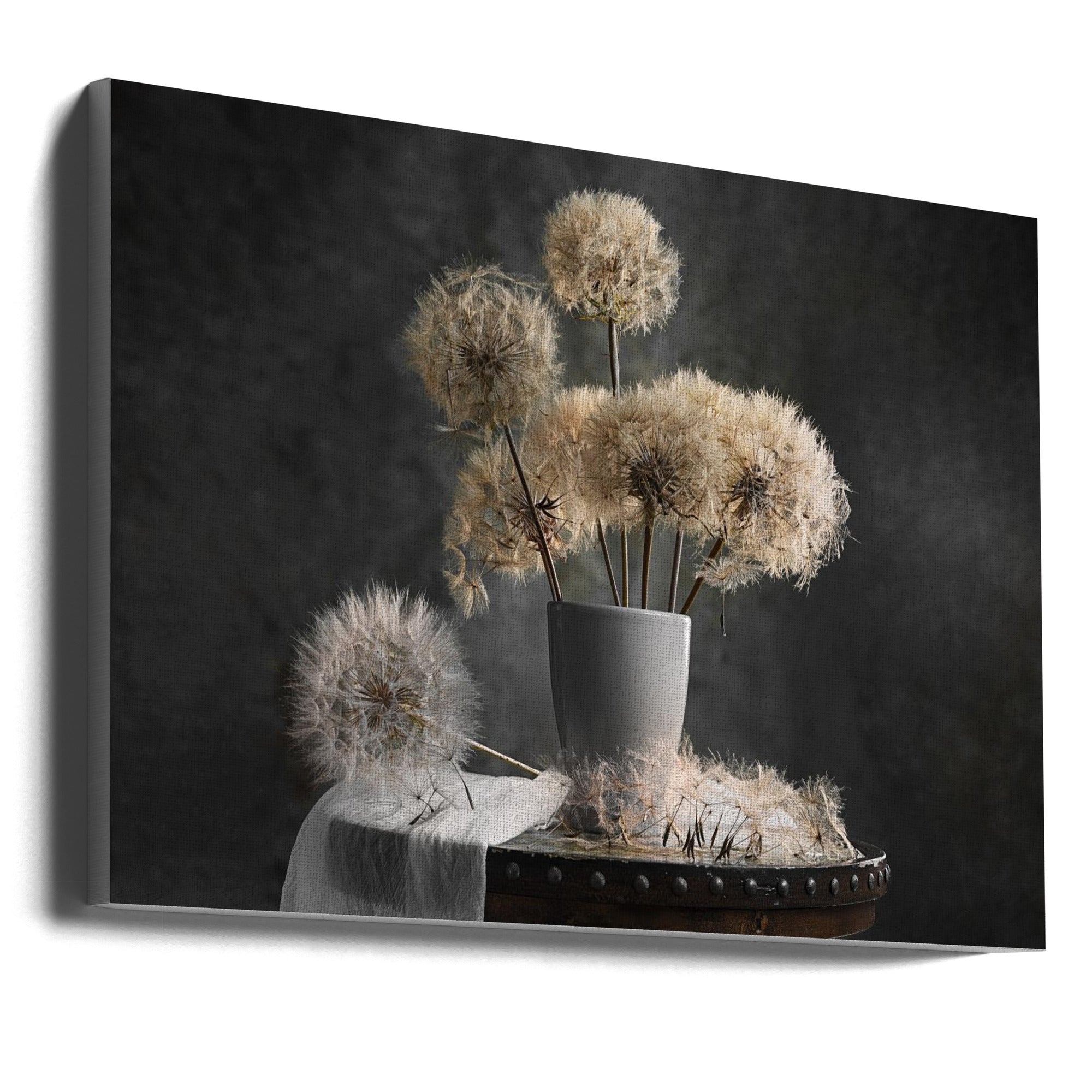 Dandelion Seed Pod Wall Art by Lydia Jacobs-Canvas Print-DECOROLALA