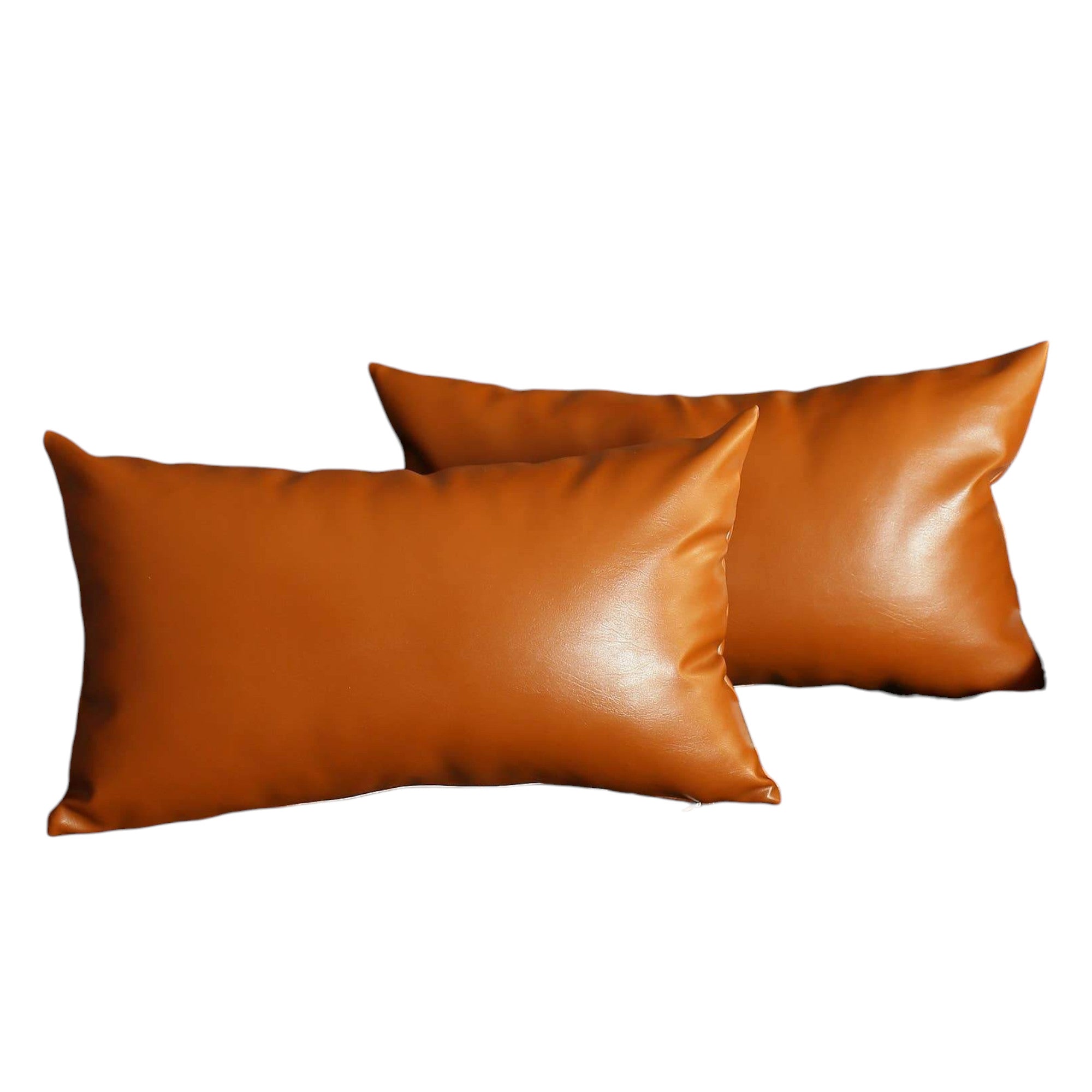 Decorative Vegan Faux Leather Throw Pillow Set of 2-Accent Throw Pillows-DECOROLALA