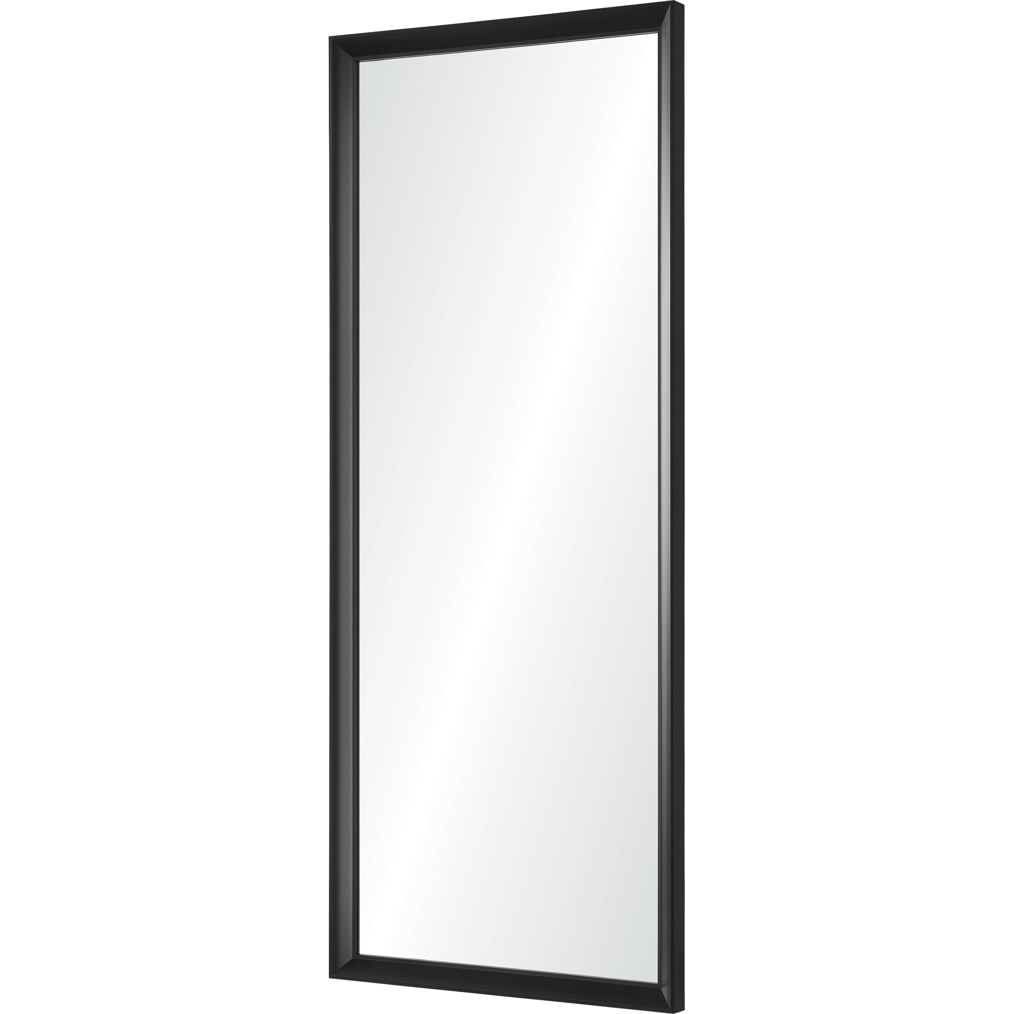 Delacorte 80" Tall Rectangle Wall Mirror, Black-Mirror-DECOROLALA