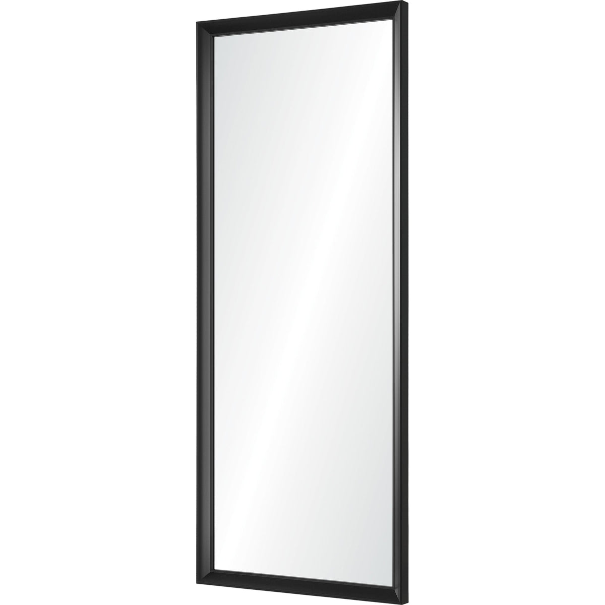 Delacorte 80" Tall Rectangle Wall Mirror, Black-Mirrors-DECOROLALA