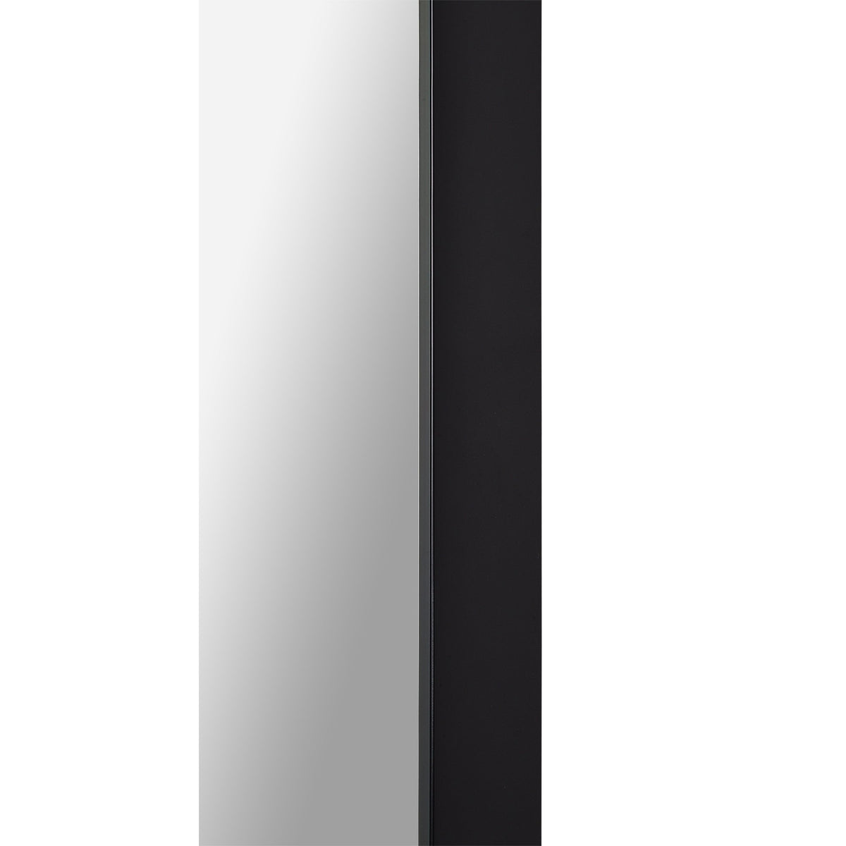 Delacorte 80" Tall Rectangle Wall Mirror, Black-Mirrors-DECOROLALA