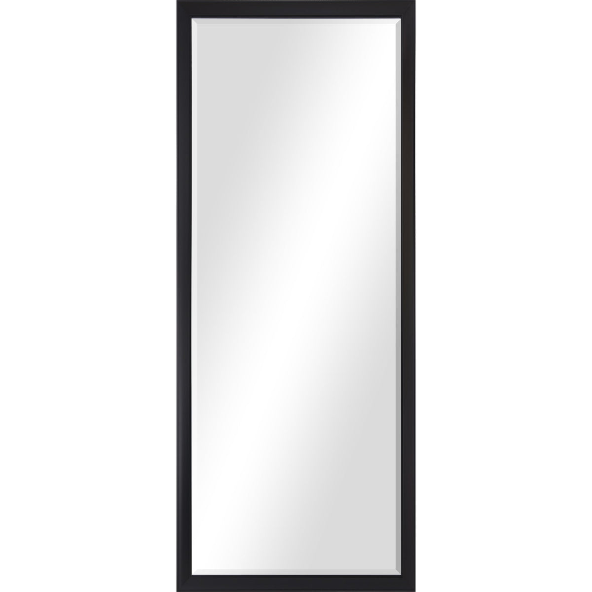 Delacorte 80" Tall Rectangle Wall Mirror, Black-Mirrors-DECOROLALA