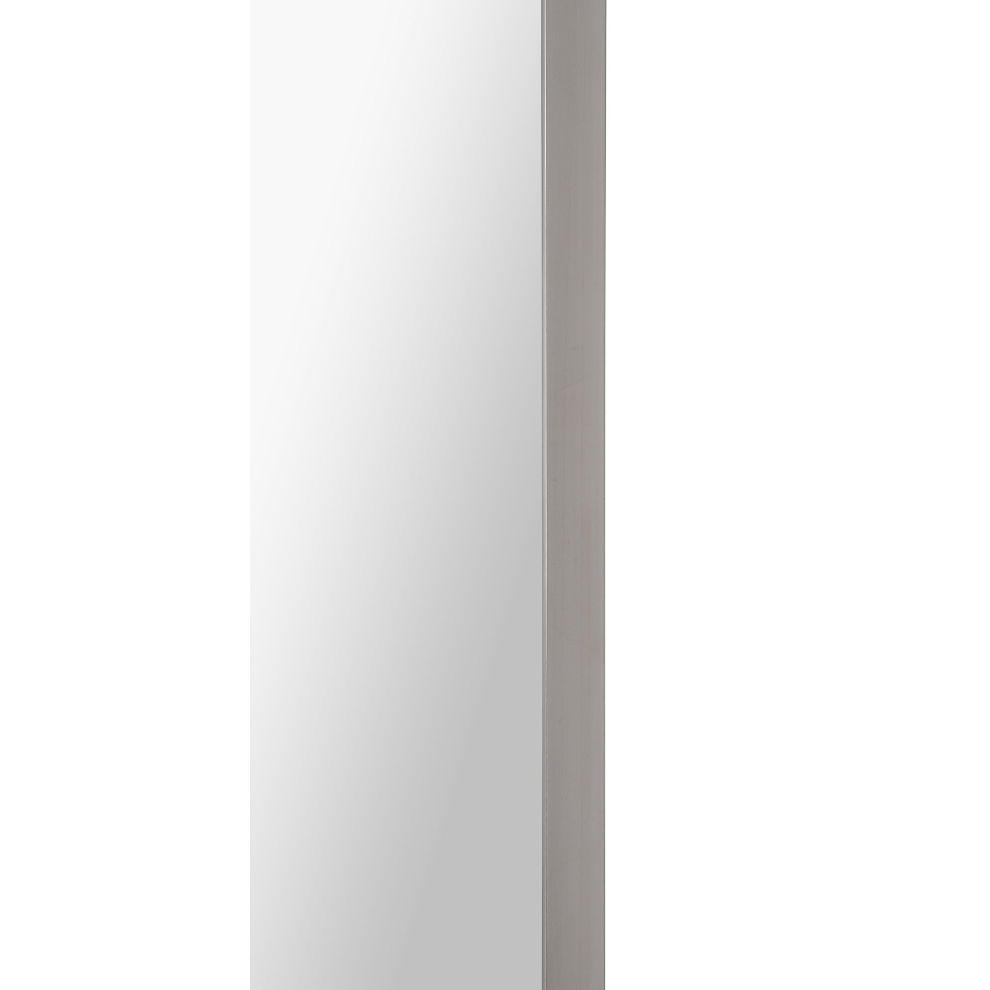 Delphinus 46" Tall Rectangle Wall Mirror, Grey-Mirror-DECOROLALA