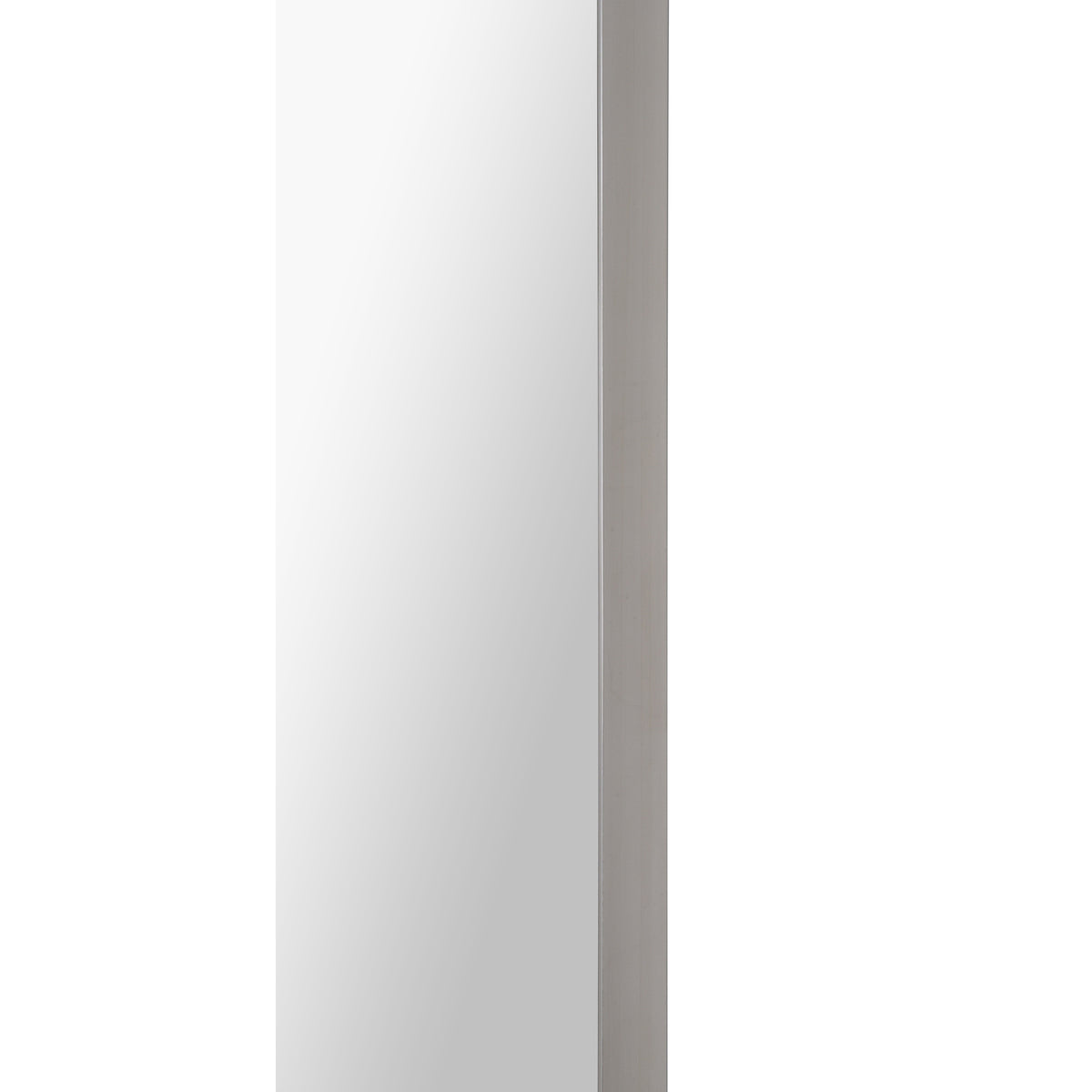 Delphinus 46" Tall Rectangle Wall Mirror, Grey-Mirrors-DECOROLALA