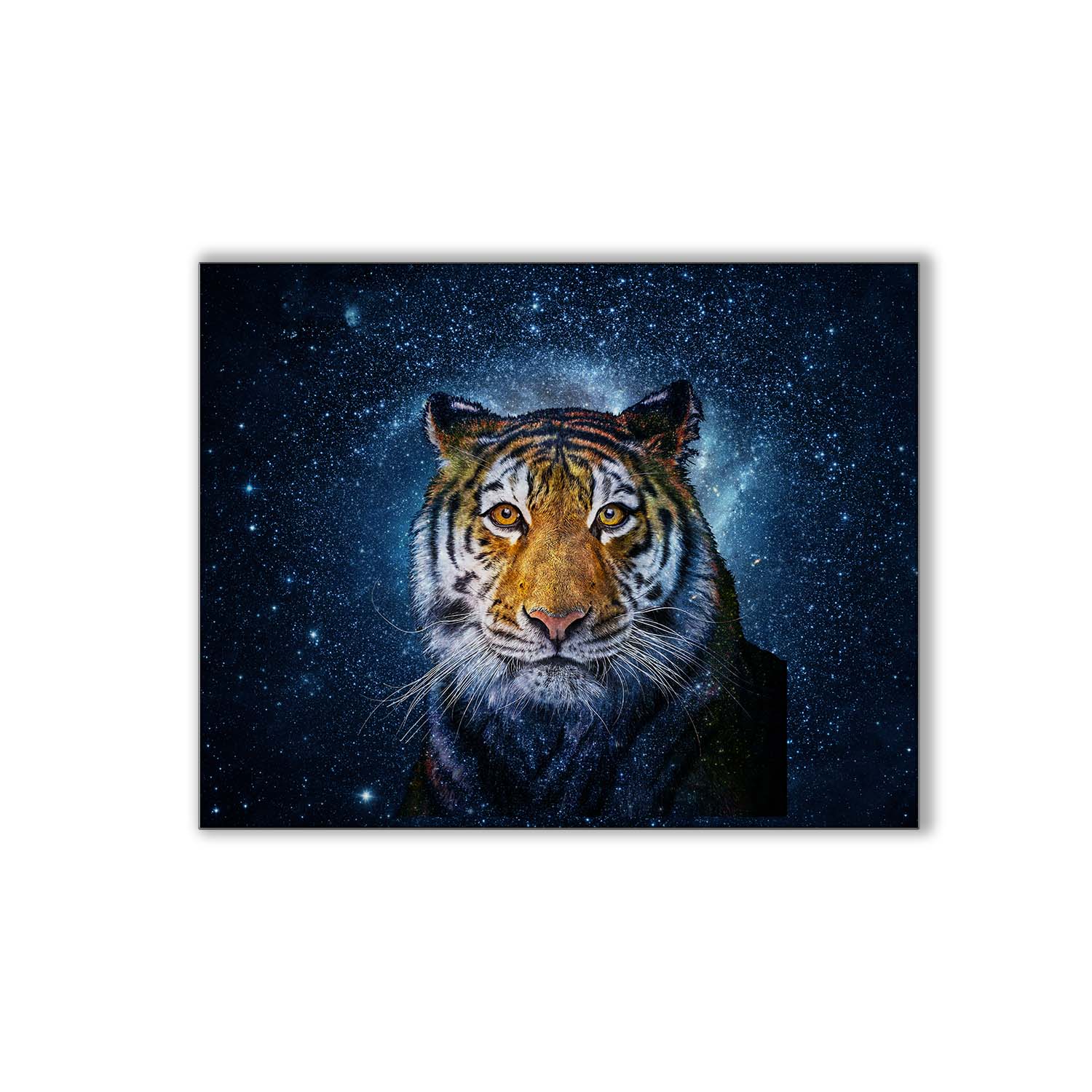 Detailed Tiger Head with Celestial Background 48X36-Print-DECOROLALA
