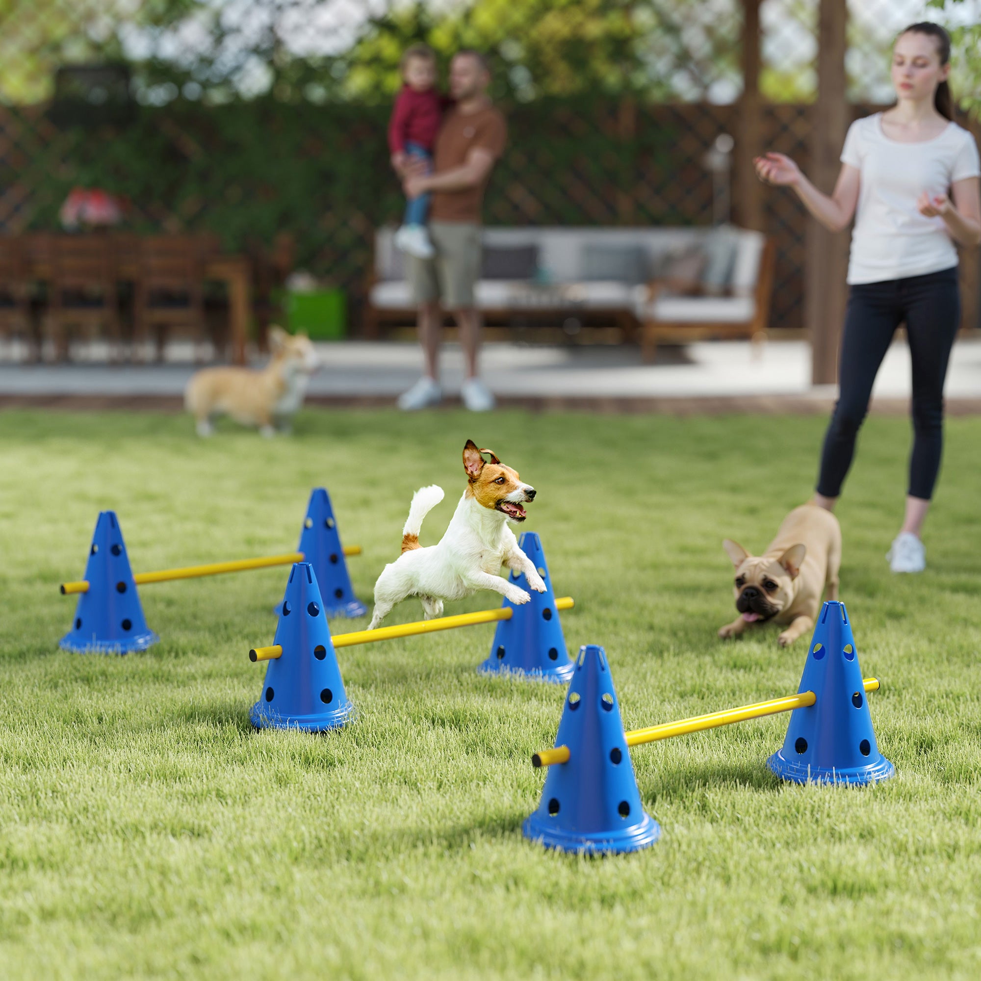 Dog Agility Hurdle Cone Set - 3 Adjustable Jumps Blue-Dogs-DECOROLALA