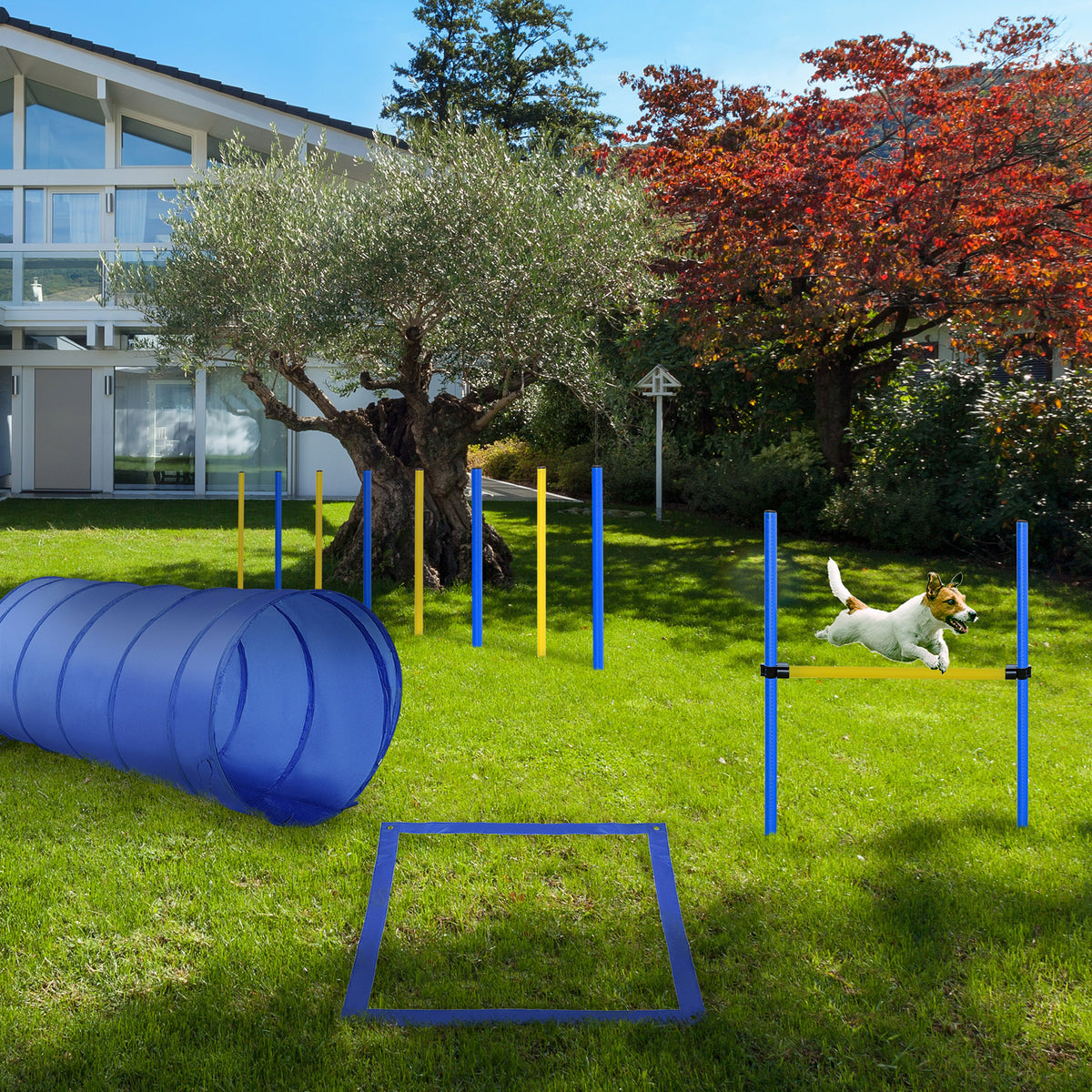 Dog Agility Starter Kit - Blue/Yellow Training Obstacle Course-Dog Supplies-DECOROLALA