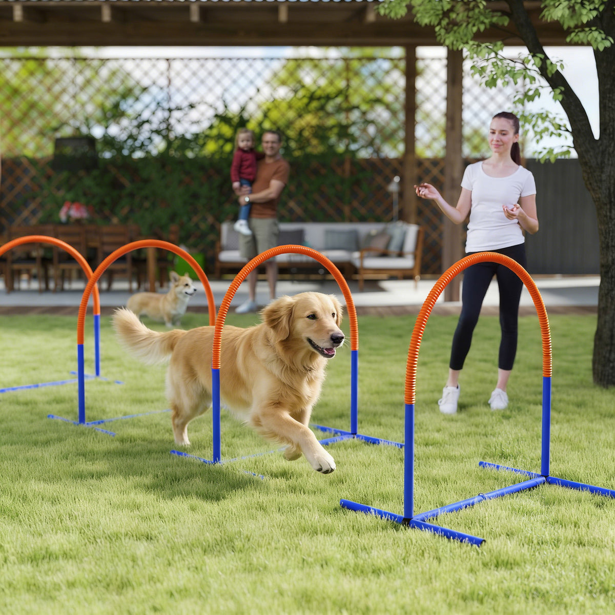 Dog Agility Training Equipment - 4 Blue & Orange Agility Bows-Dogs-DECOROLALA